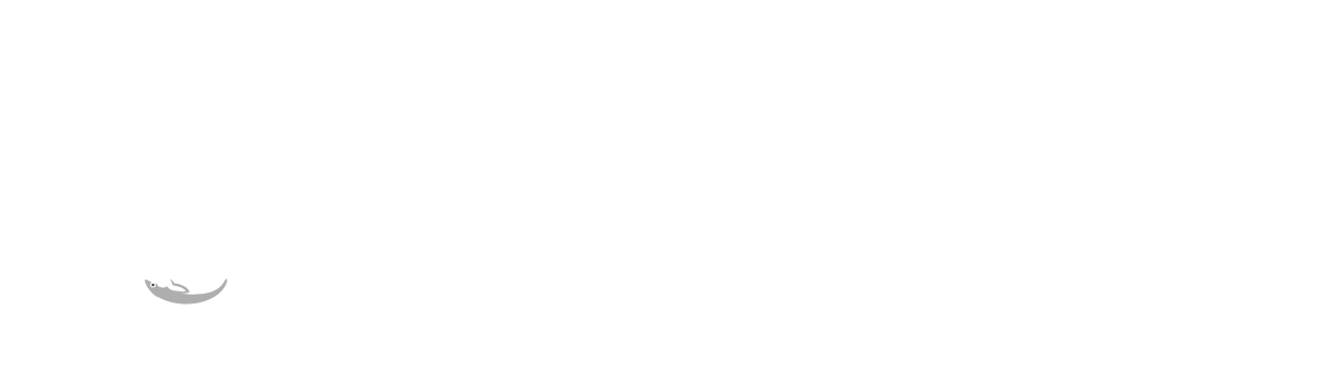 GTS Tree Surgery Ltd
