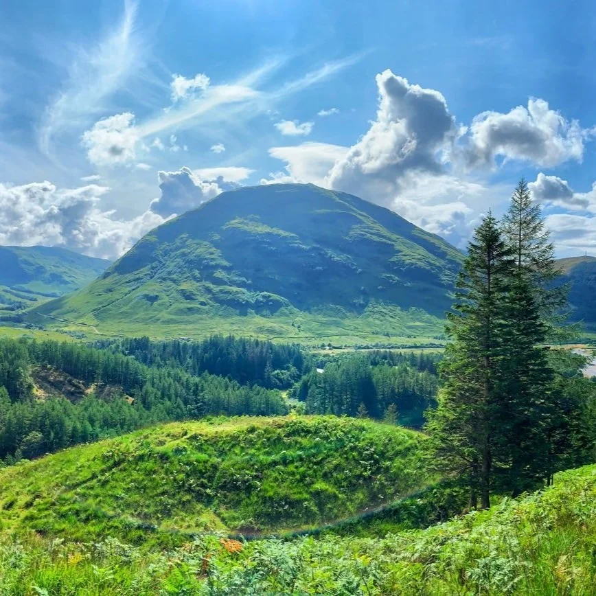 Trees for Life Support