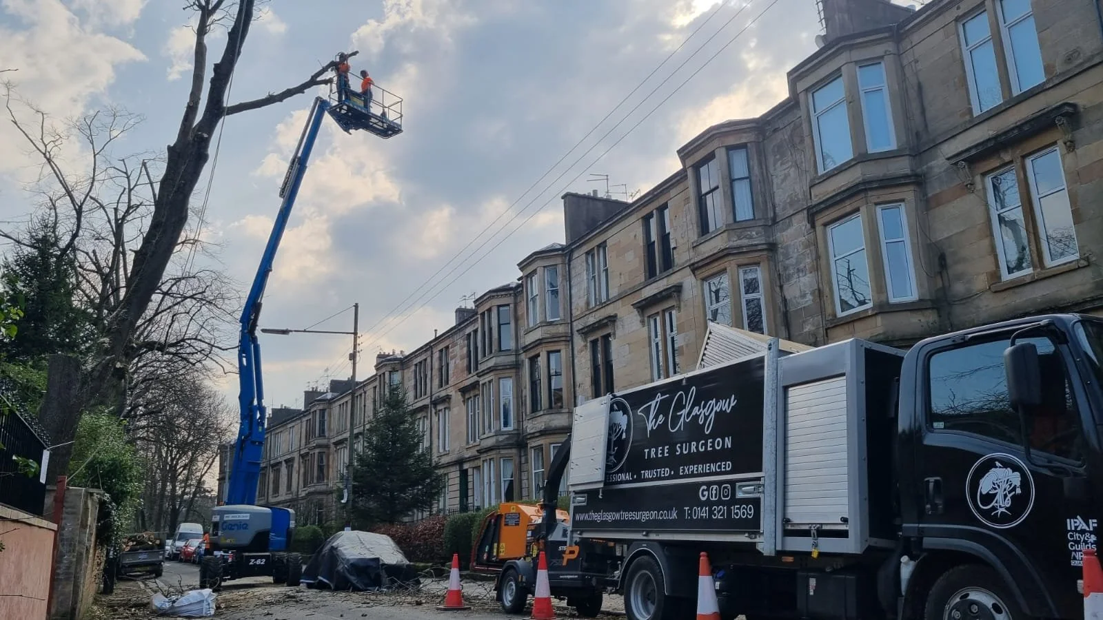 Glasgow Tree Care  - Glasgow Tree Surgeons