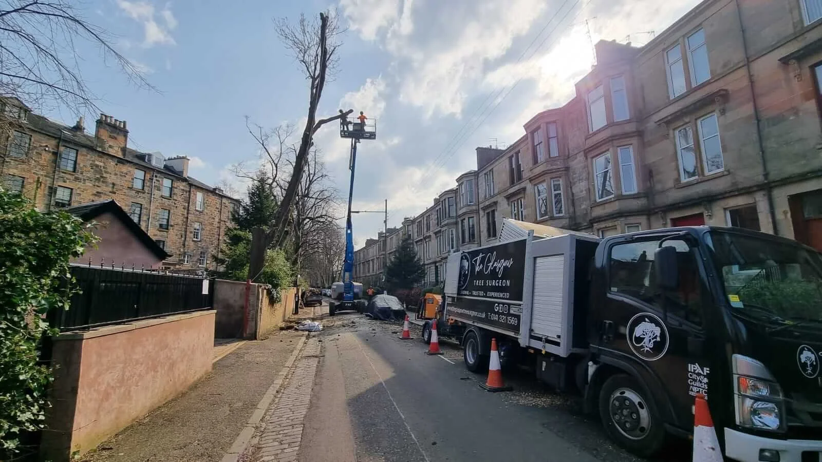 Tree Removal Safety  - Glasgow Tree Surgeons