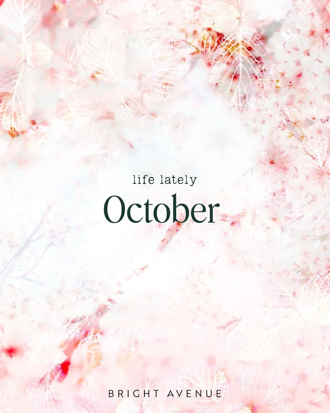 Some of my October highlights 🍂

October always feels like the true start of autumn to me - cosy jumpers, the heating goes on - and that magical golden evening light.

Some of my favourite moments this month:

✢ A relaxing afternoon with @thistleand