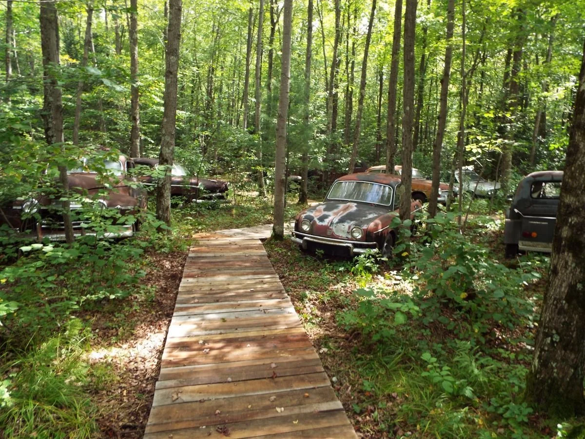 Motorama Auto Museum, Ltd.