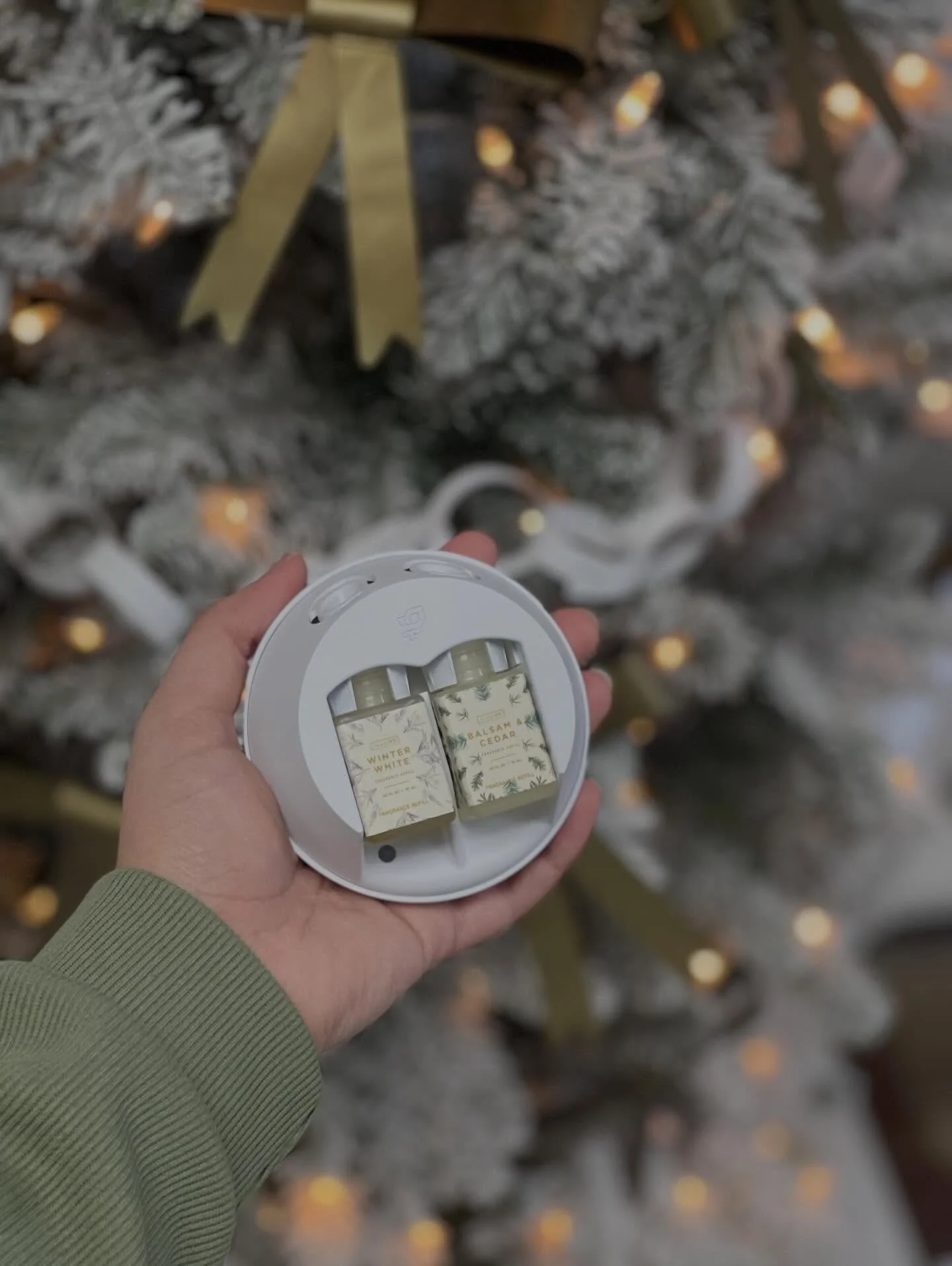 Welcoming winter with the coziest fragrances of the season. 

Our Winter White &amp; Balsam and Cedar are filling the shop &mdash; and our homes &mdash; with that effortless blend of warmth and freshness we wait for all year. A simple swap that trans