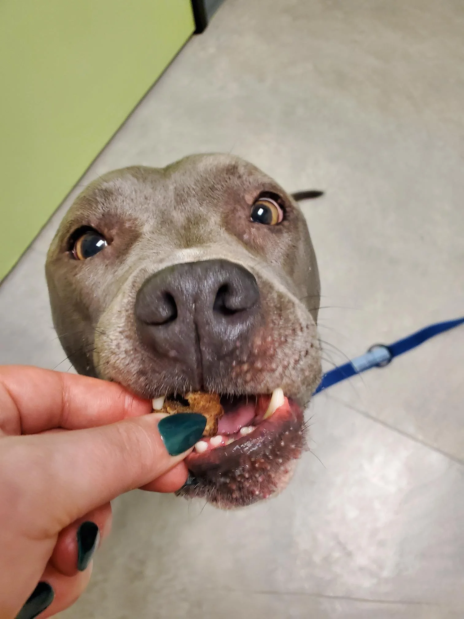 shared image (1).jpg