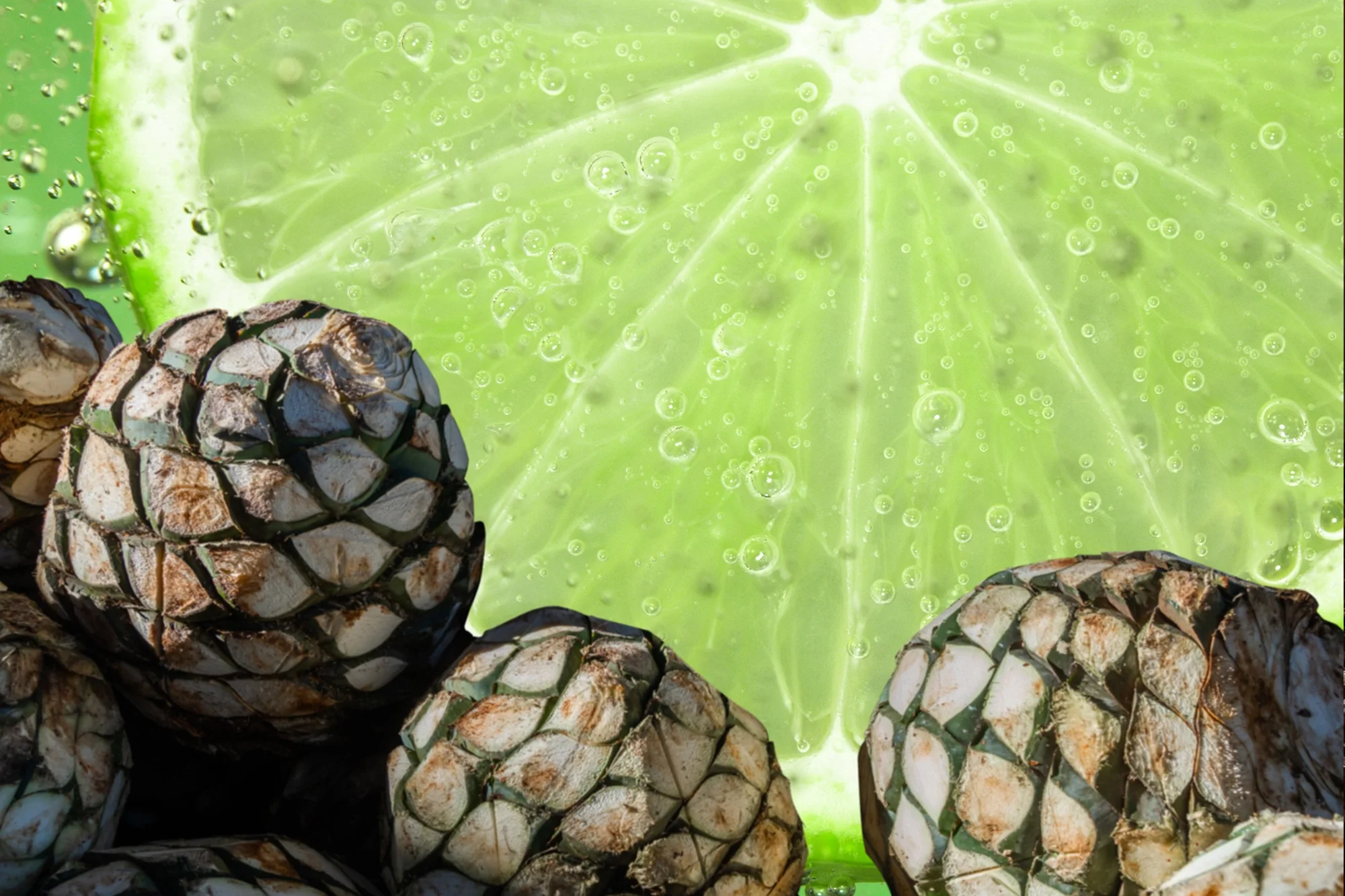 Close up of a Lime Slice with Bubbles and Pineapples