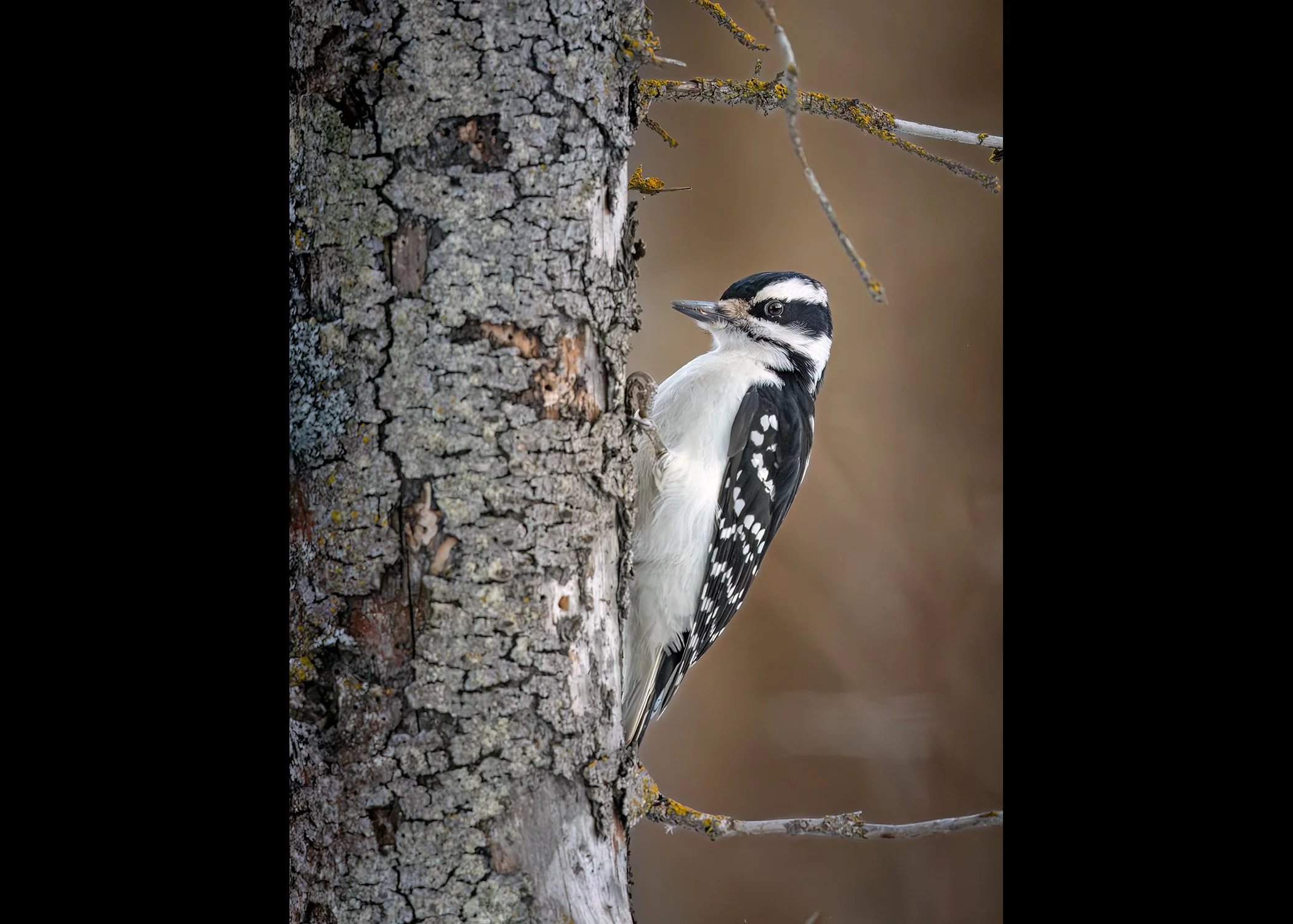 Untitled-1.jpg
