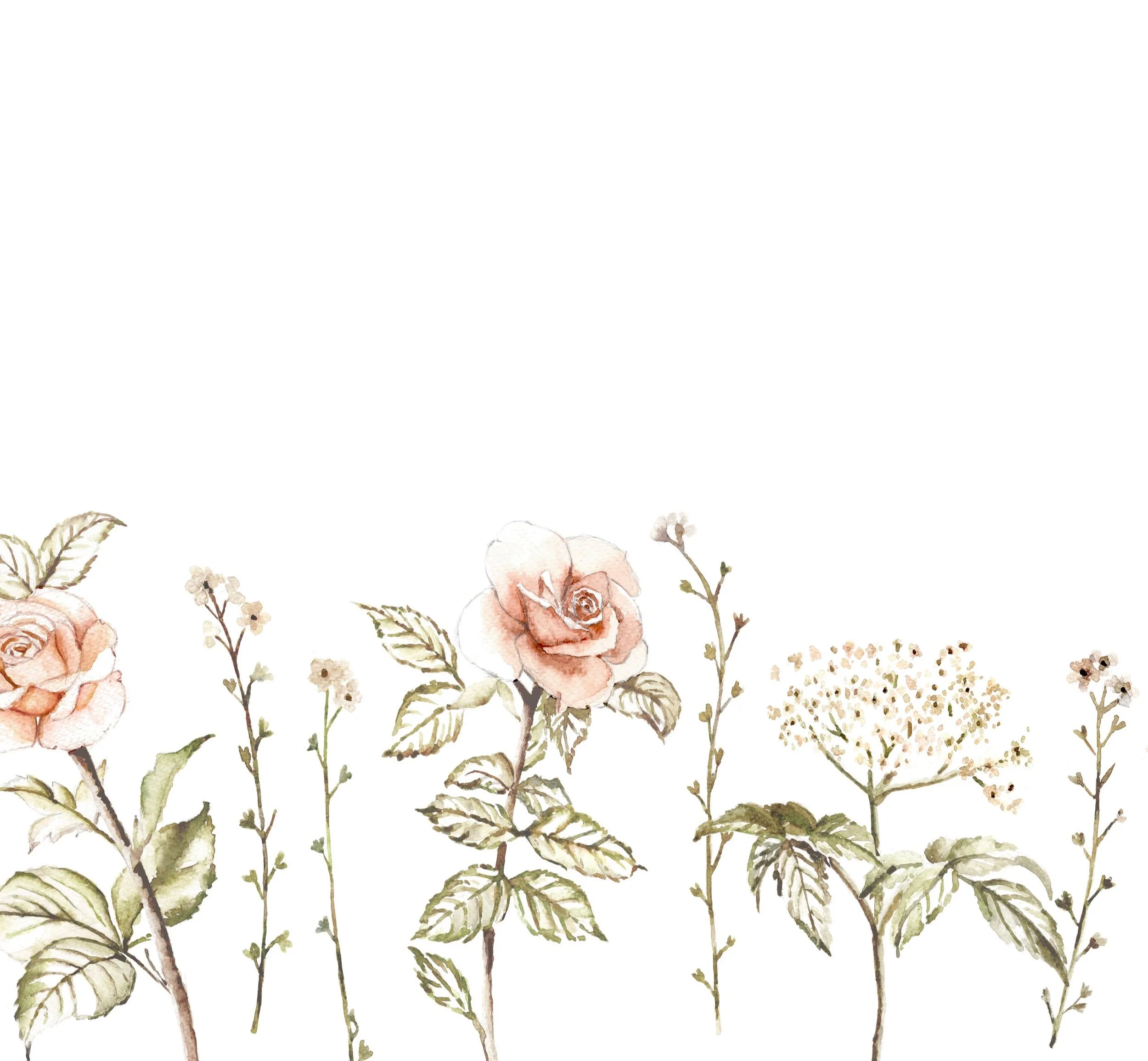 Rose+bedding+PC+cropped.jpg