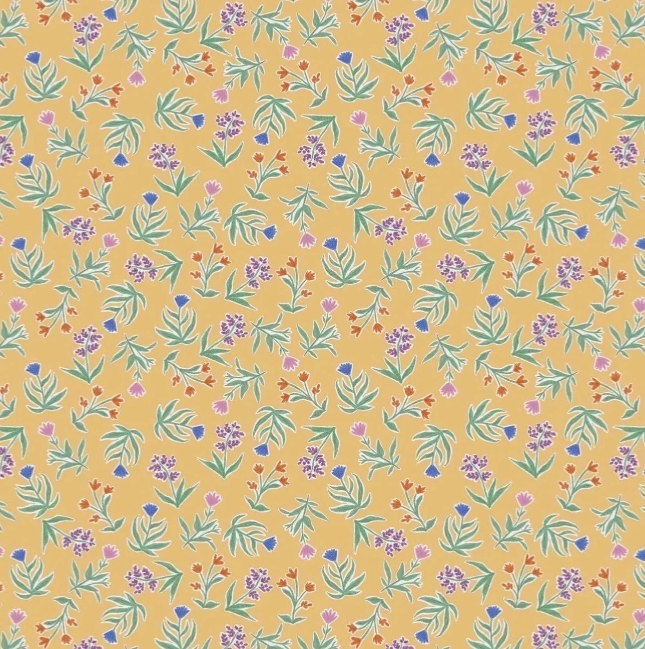 Untitled%252525252B%252525252528111%252525252529%252525252B%2525252525281%252525252529.jpg