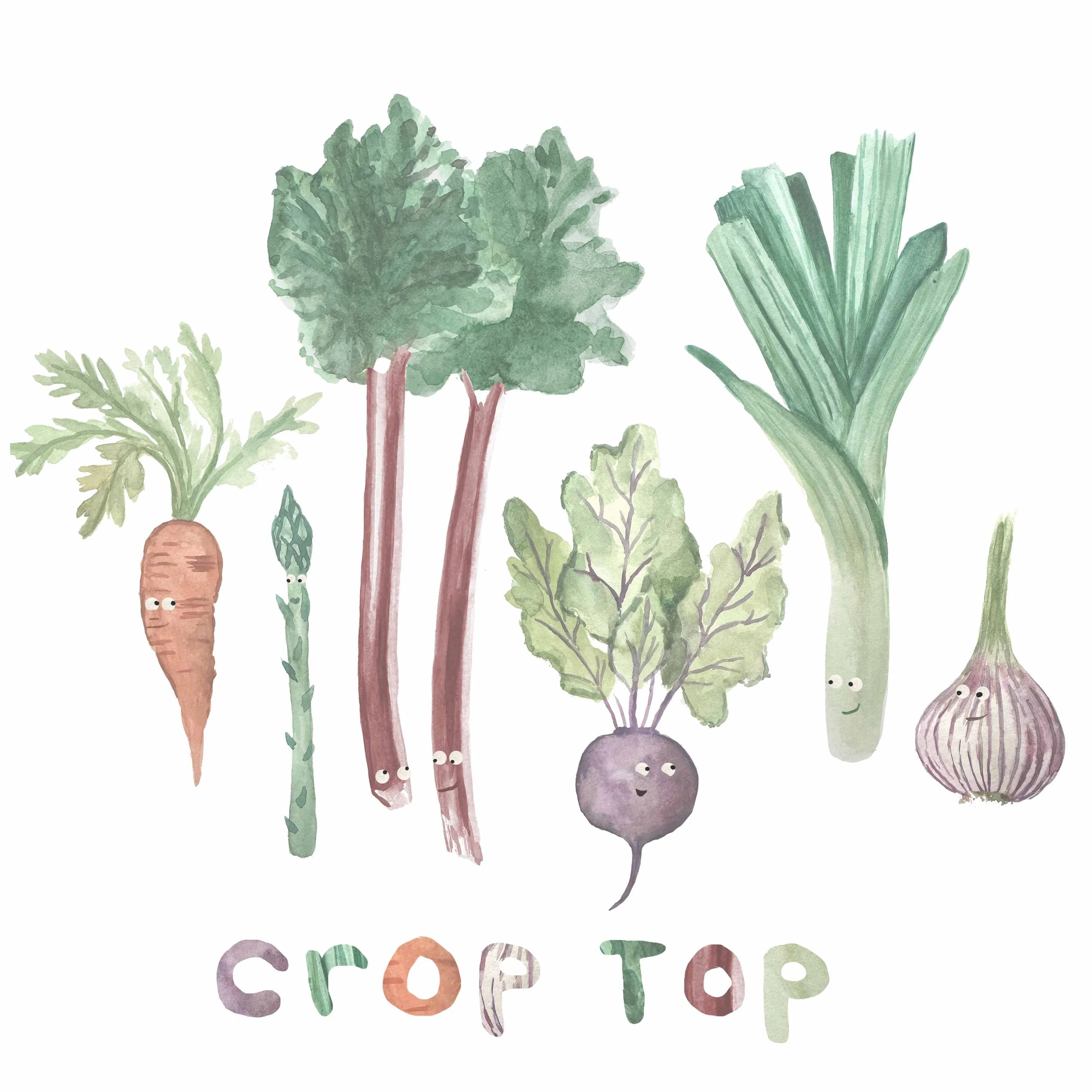 Crop Top.jpg