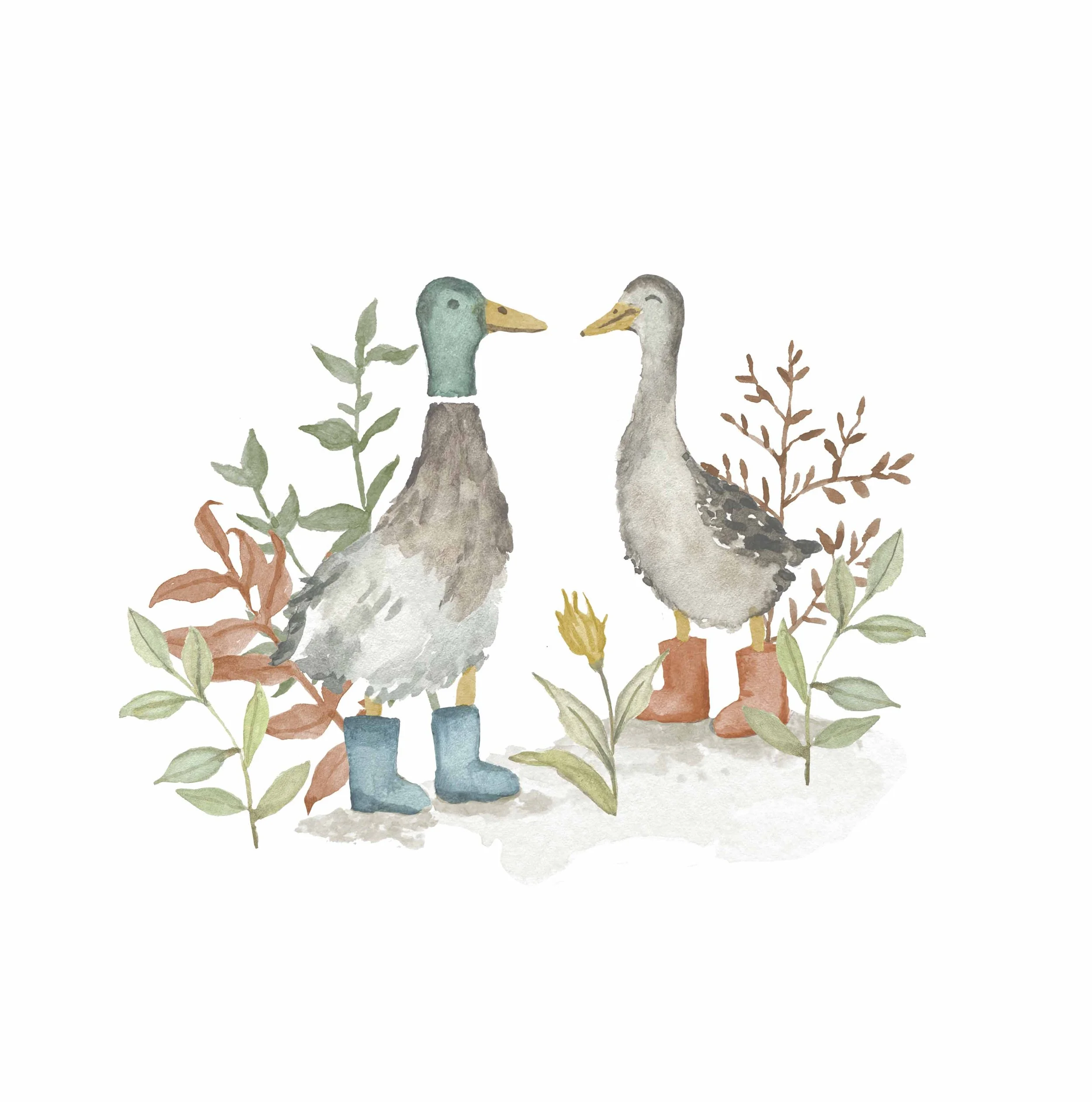 Ducks.jpg
