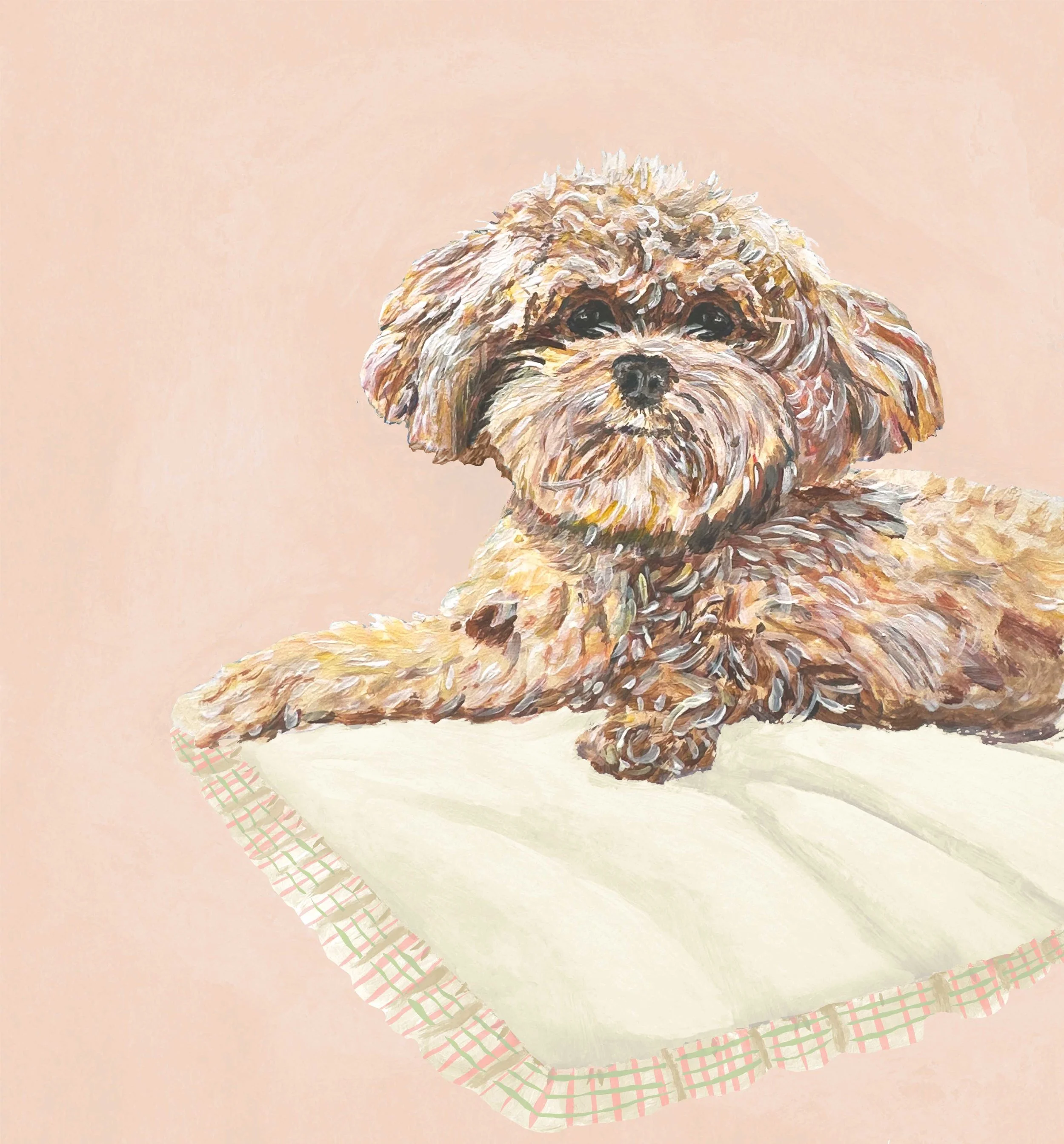 LRS 126 Maltipoo.jpg