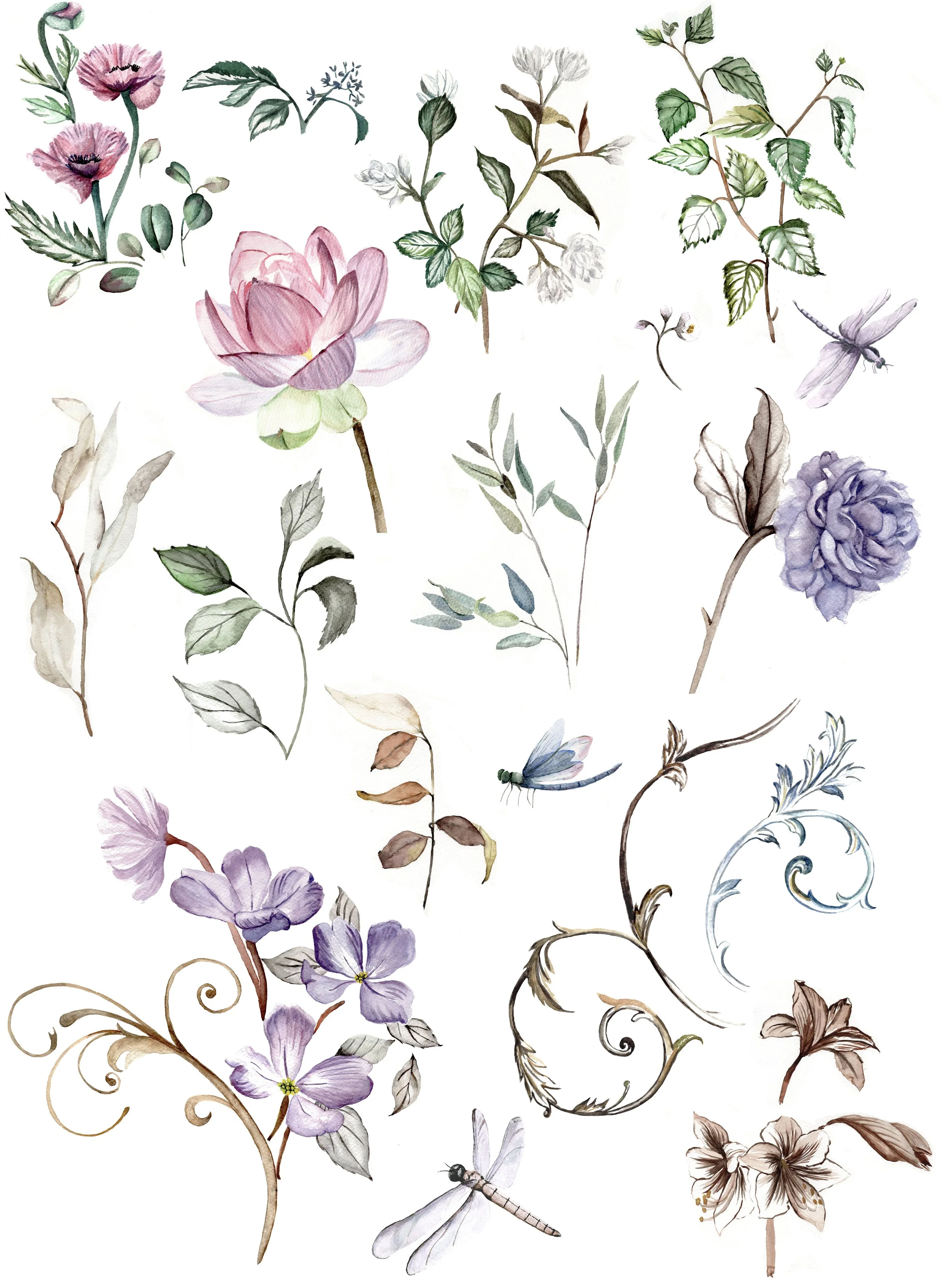 Swan Lake Smaller.jpg