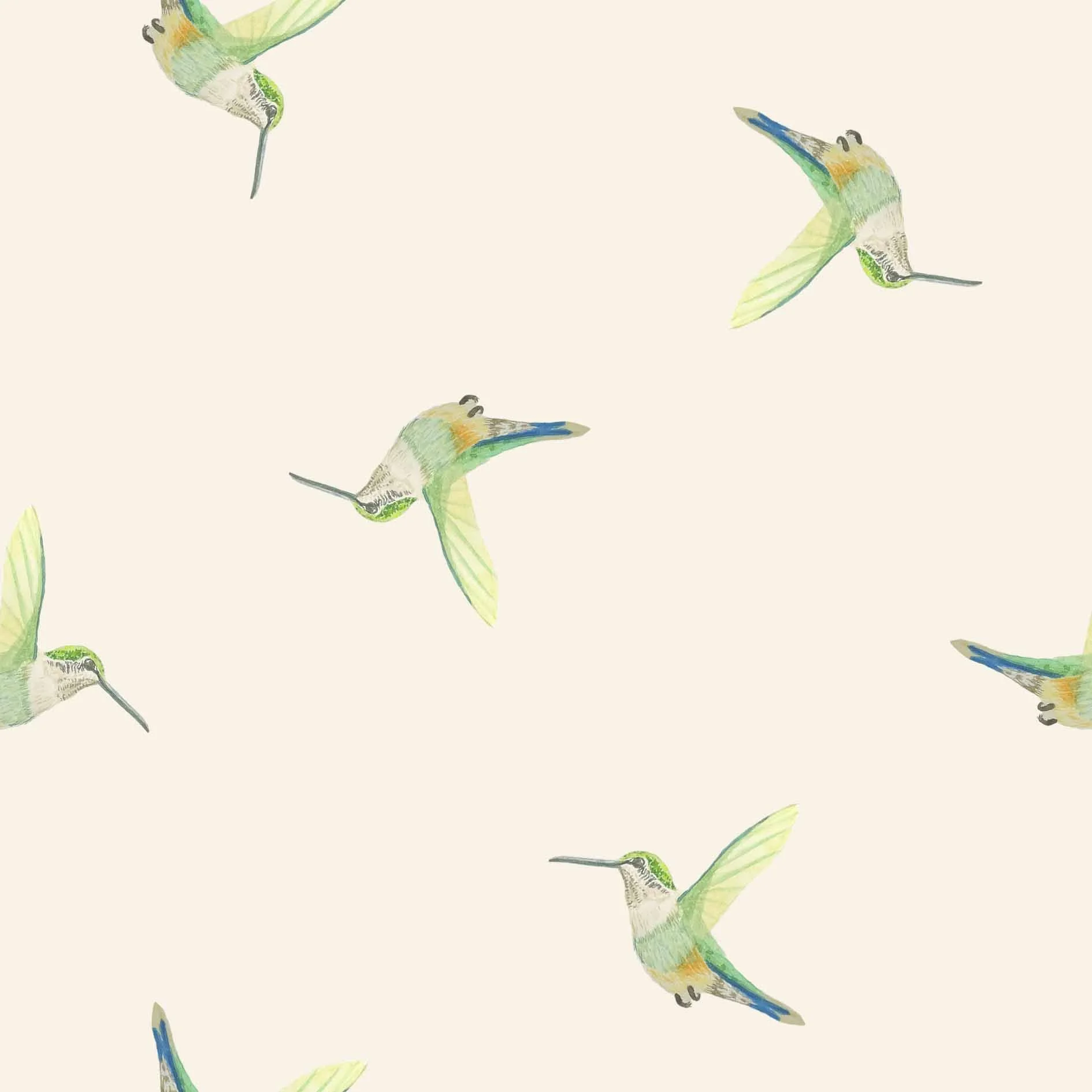 Humming bird.jpg