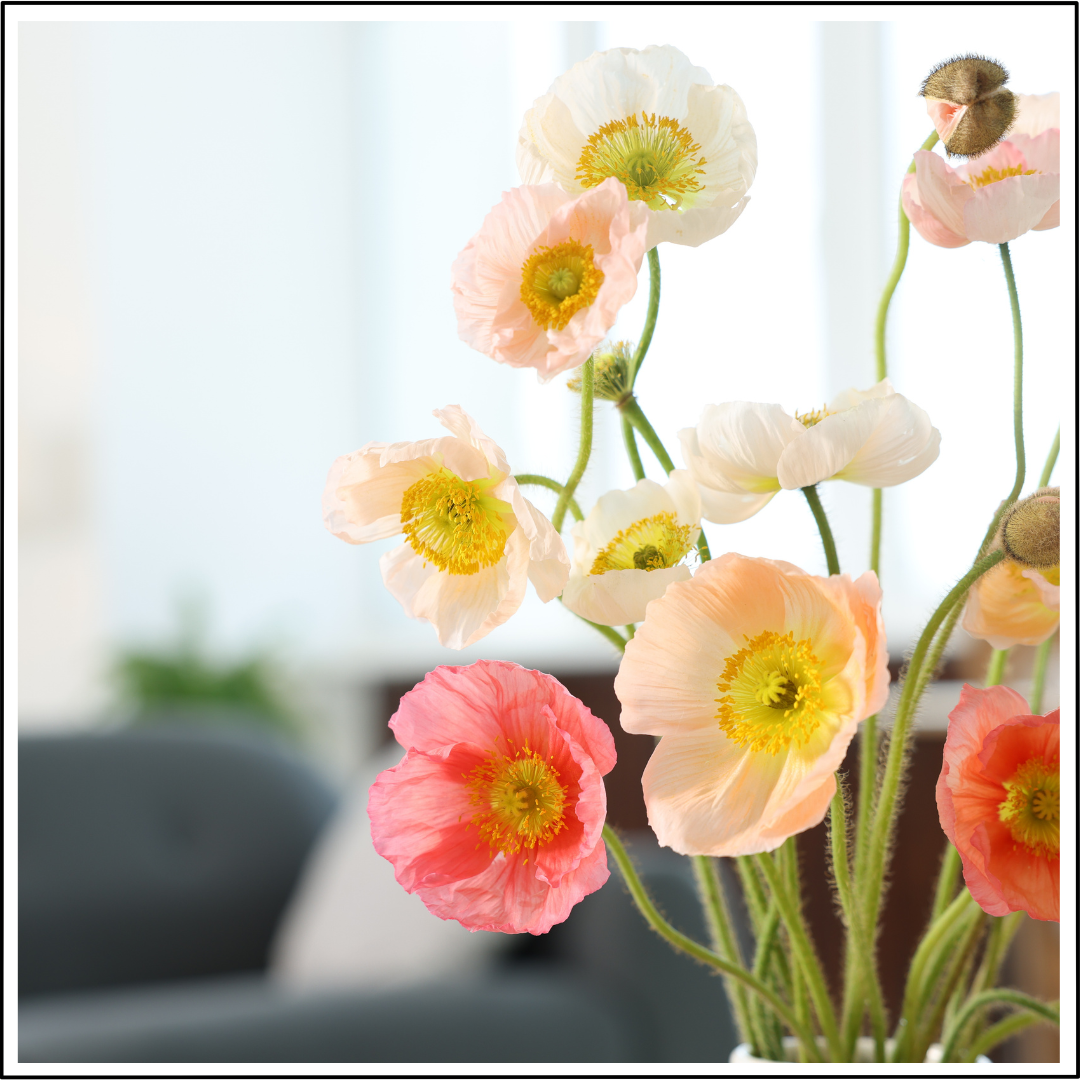 Mar’26 Newsletter - Organizing