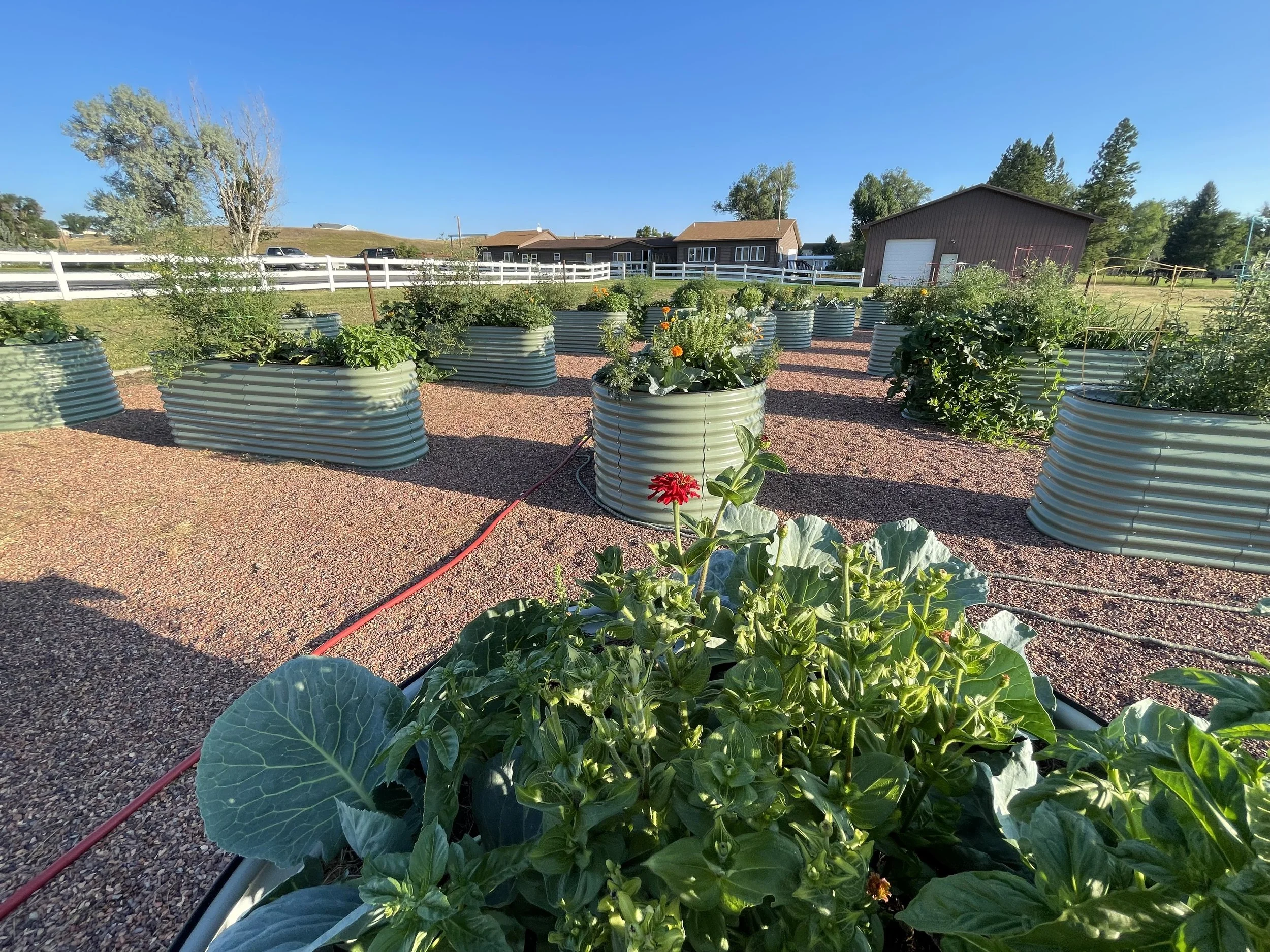 Volunteer Event, Teaching Garden Relocation