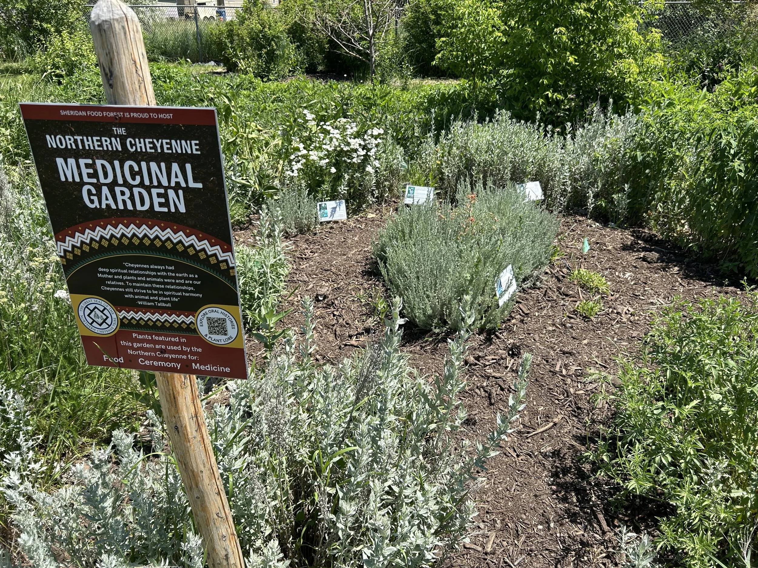 Photo of the Northern Cheyene Medicinal Garden sign and garden behind the sign.