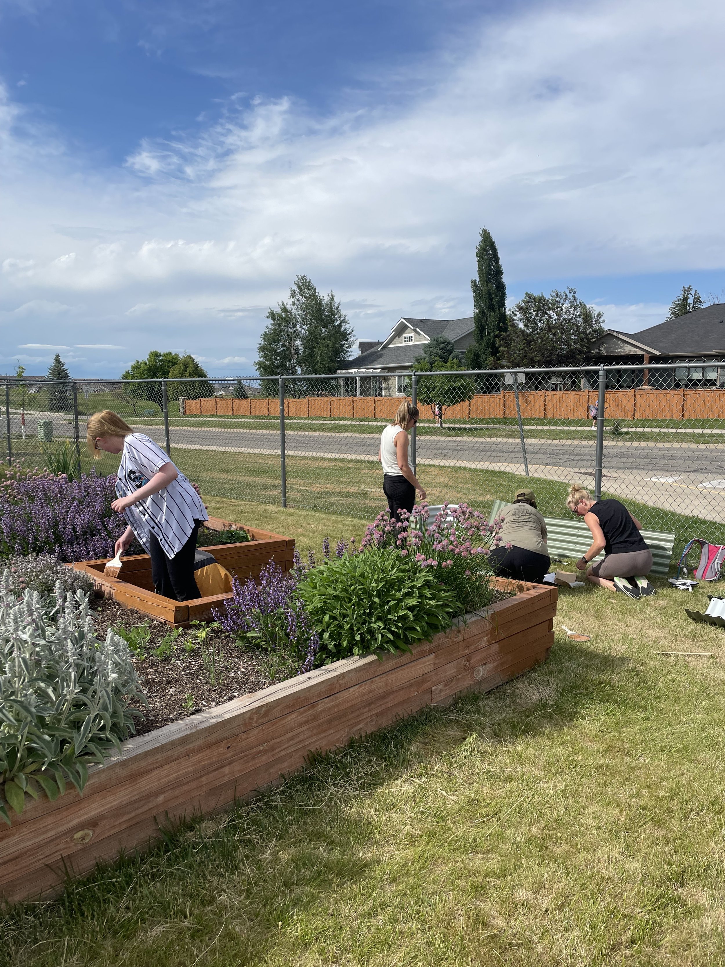 A wide view photo of volunteers helping in the garden.