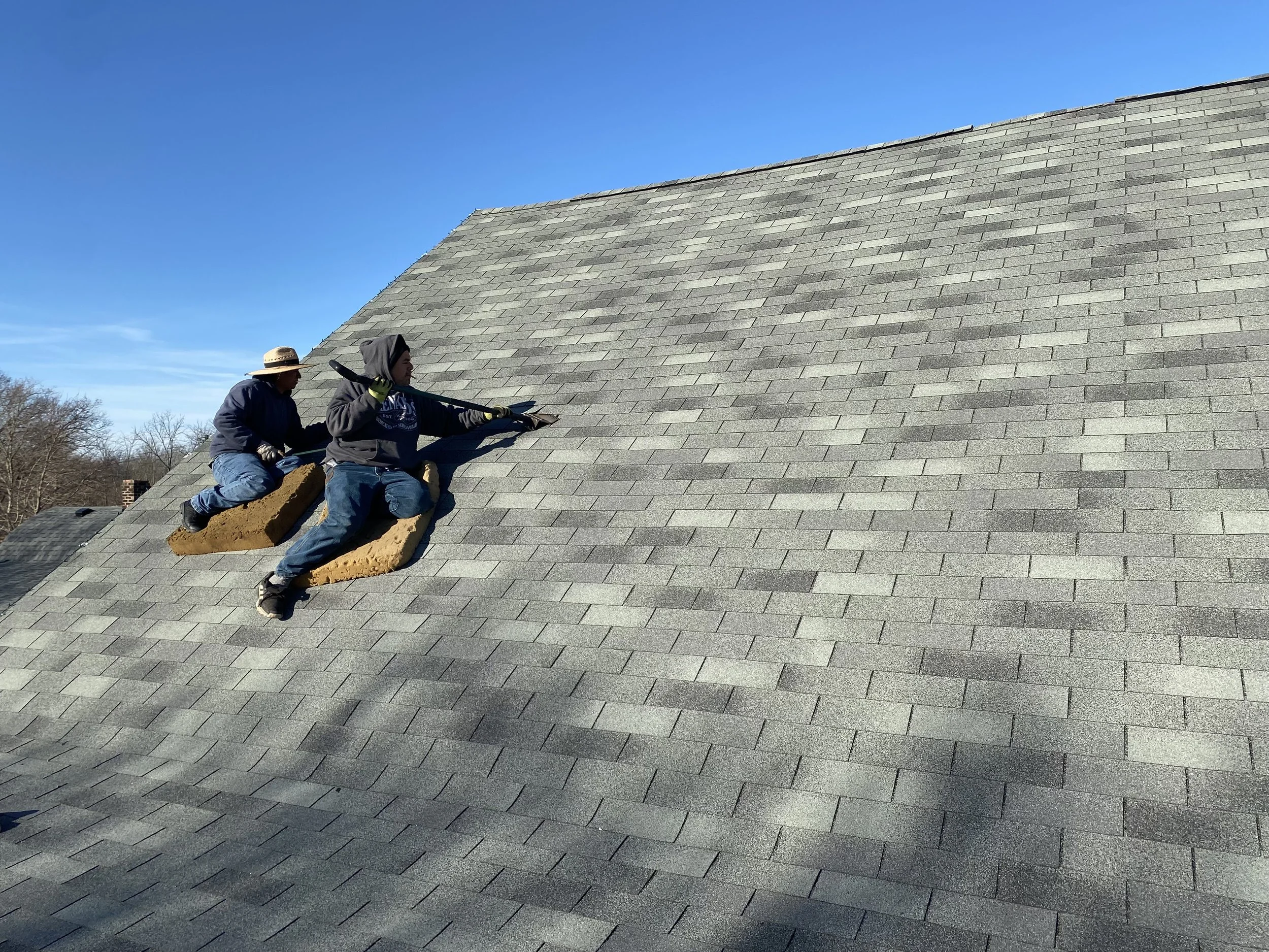 Roof Background 1.jpg