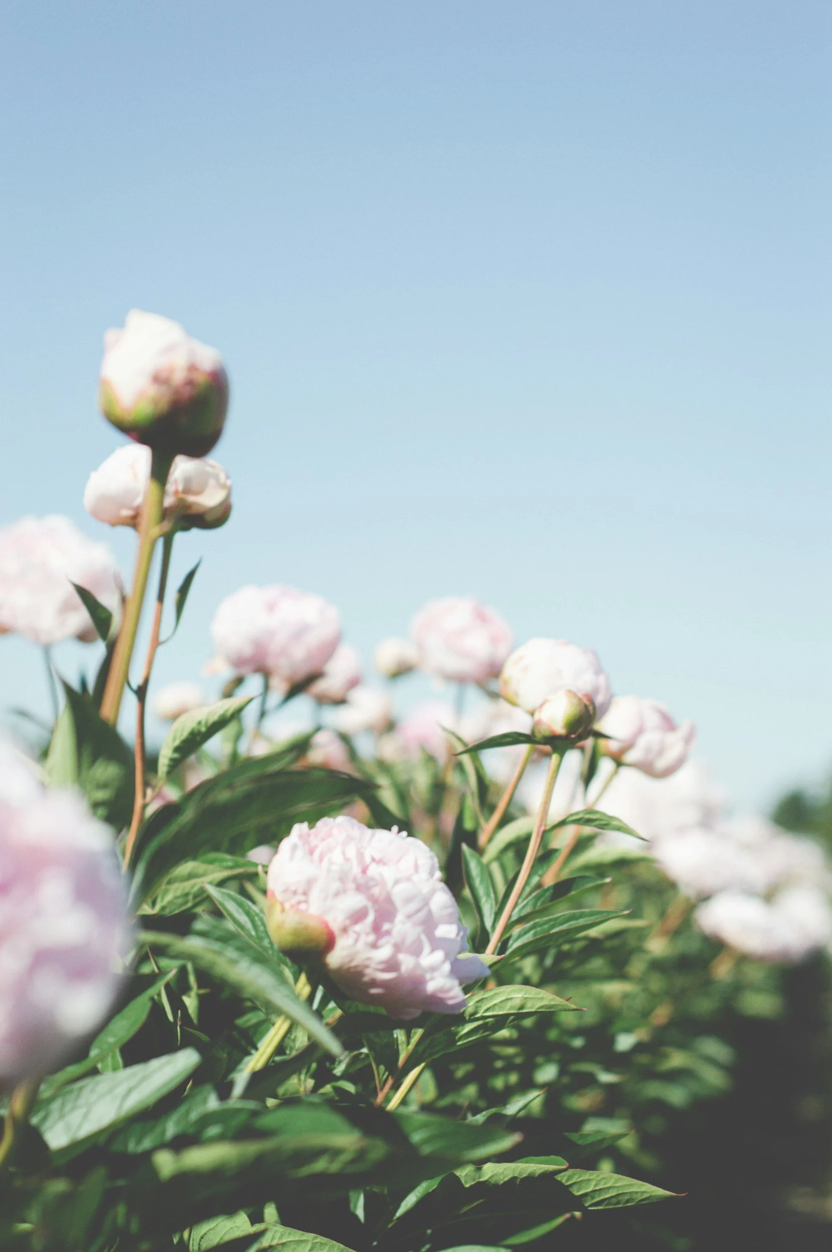 Where to Begin With Sabbath Keeping