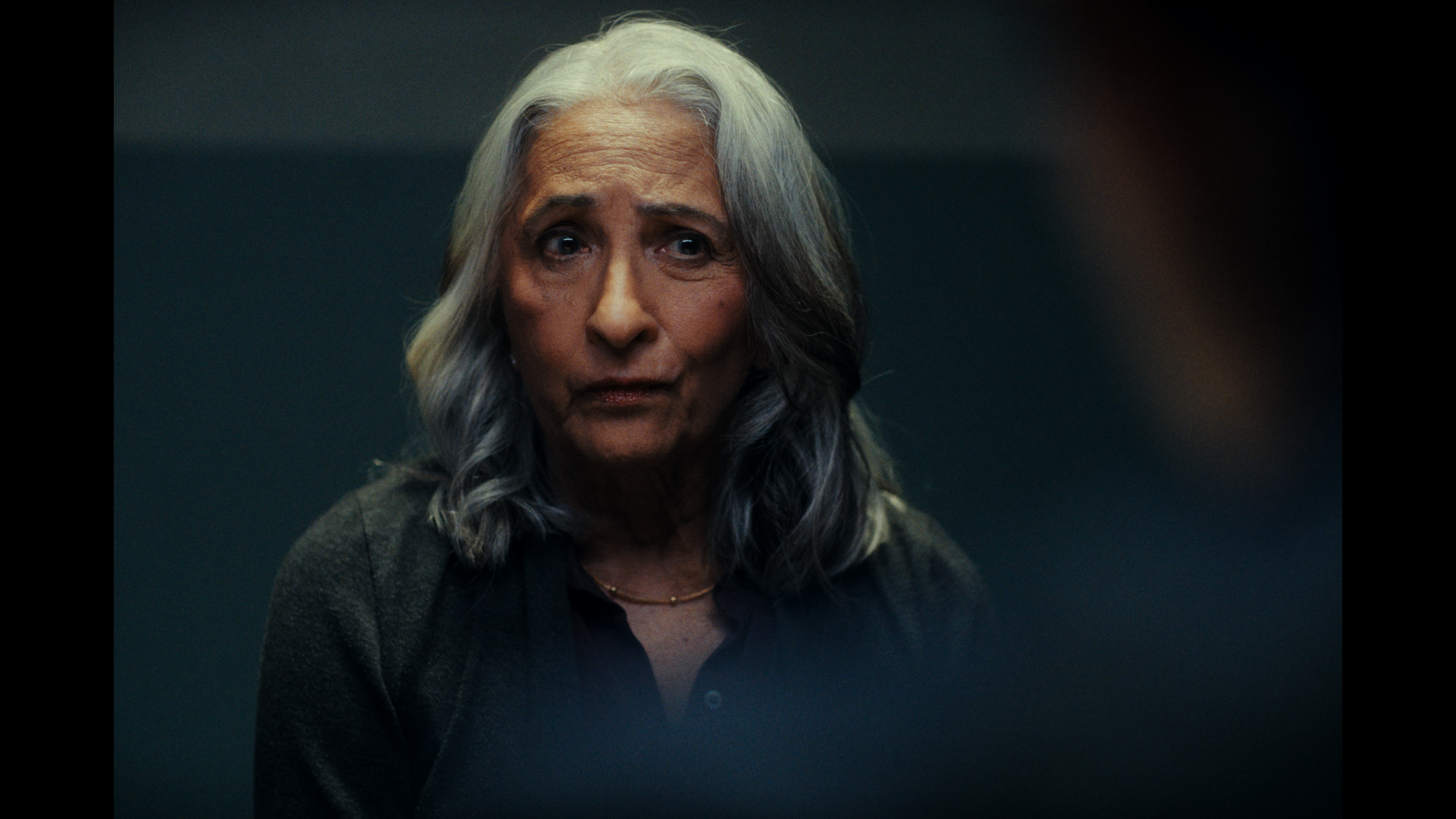 Still 2025-01-22 153903_1.48.1.T.png