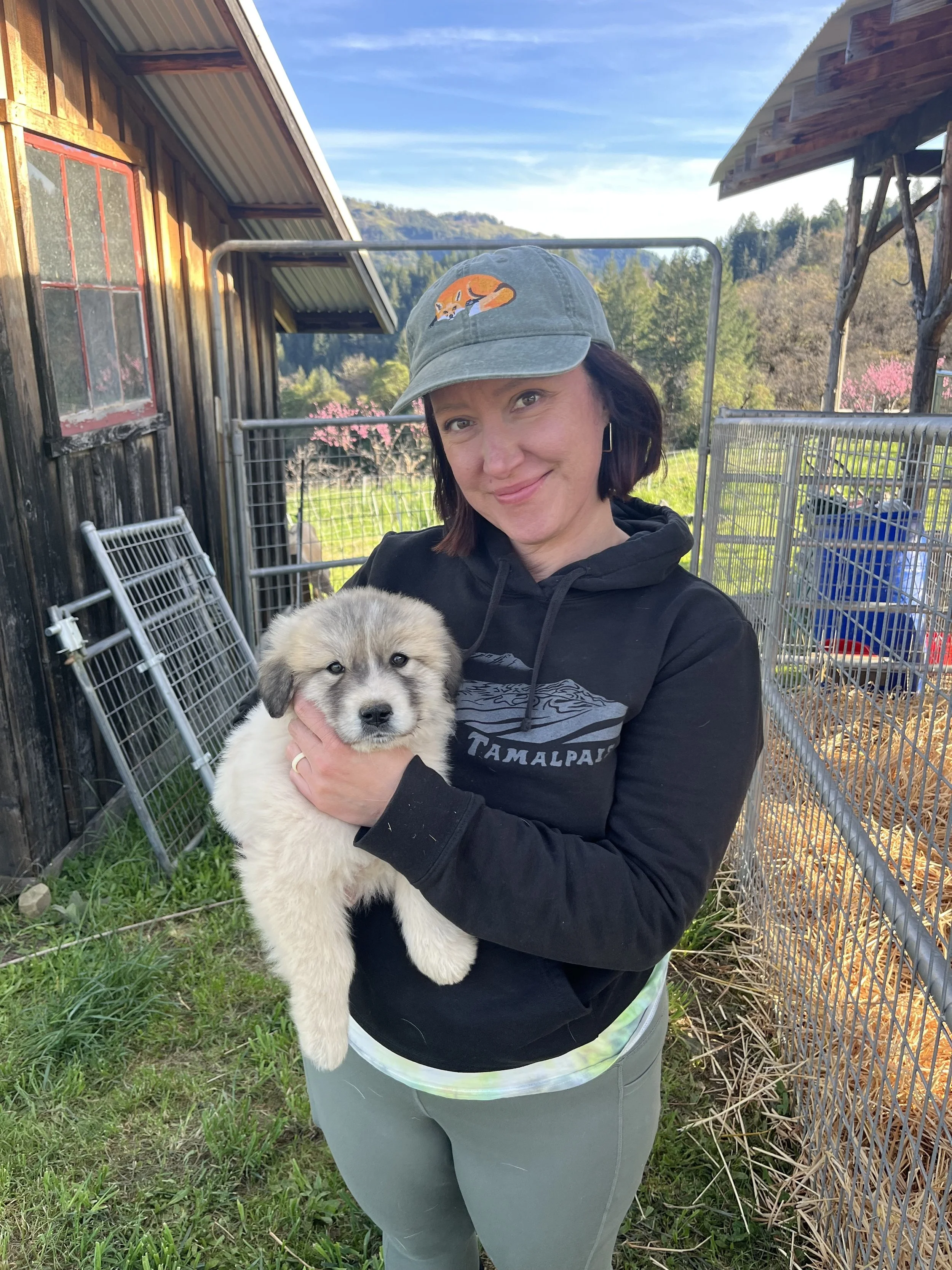 When everything feels urgent + important