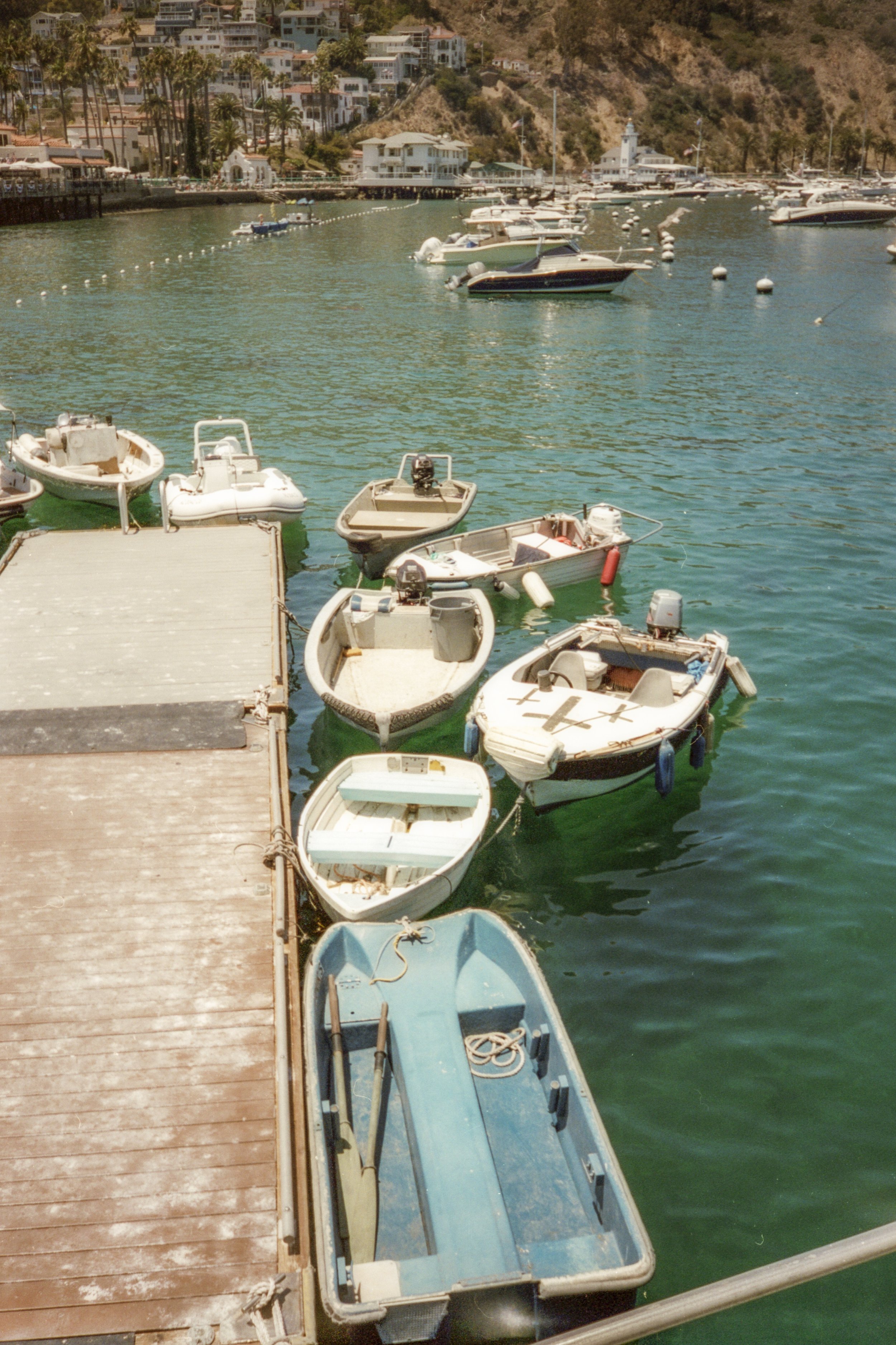 Catalina-55.jpg