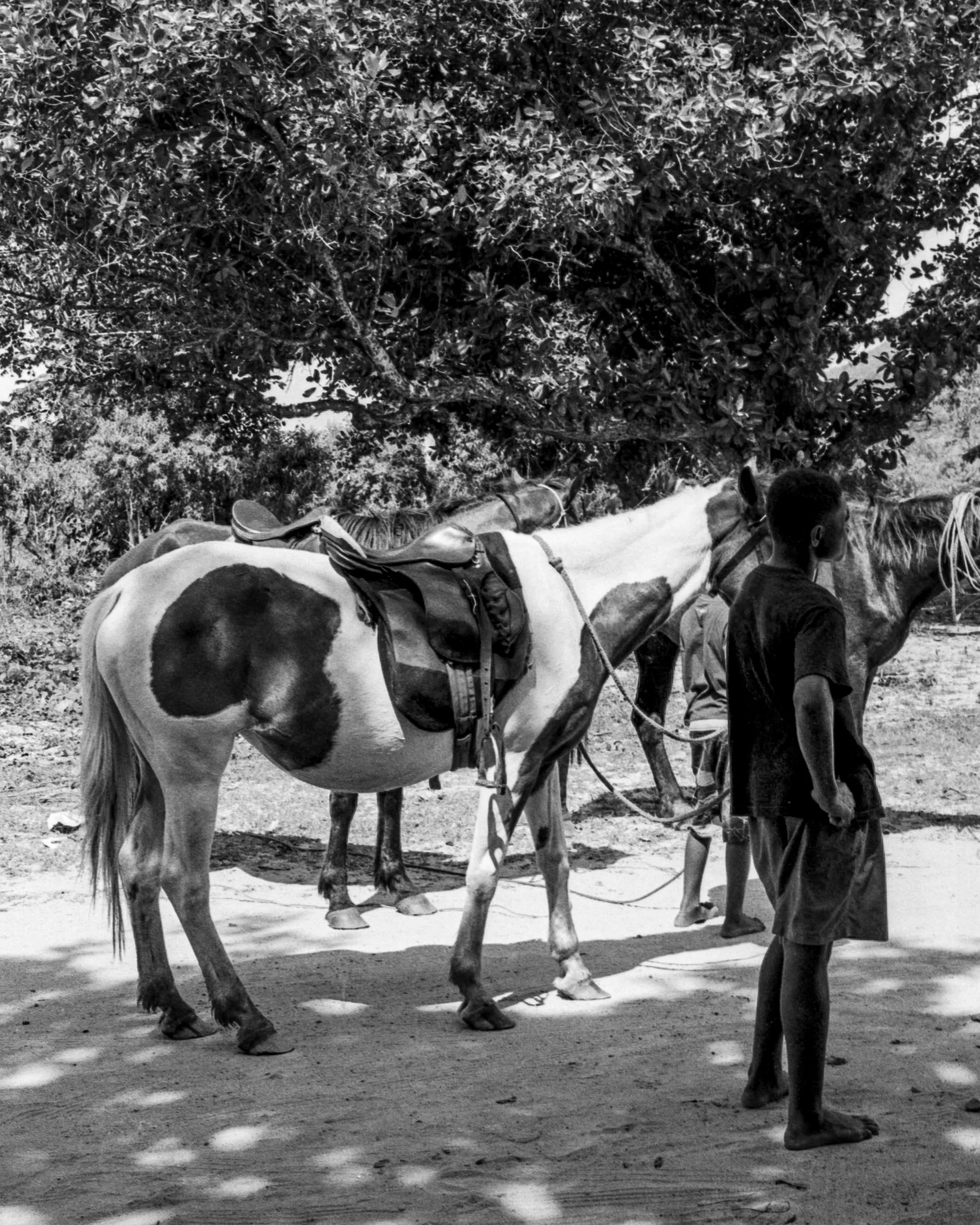 FIJI_B&W-35.jpg