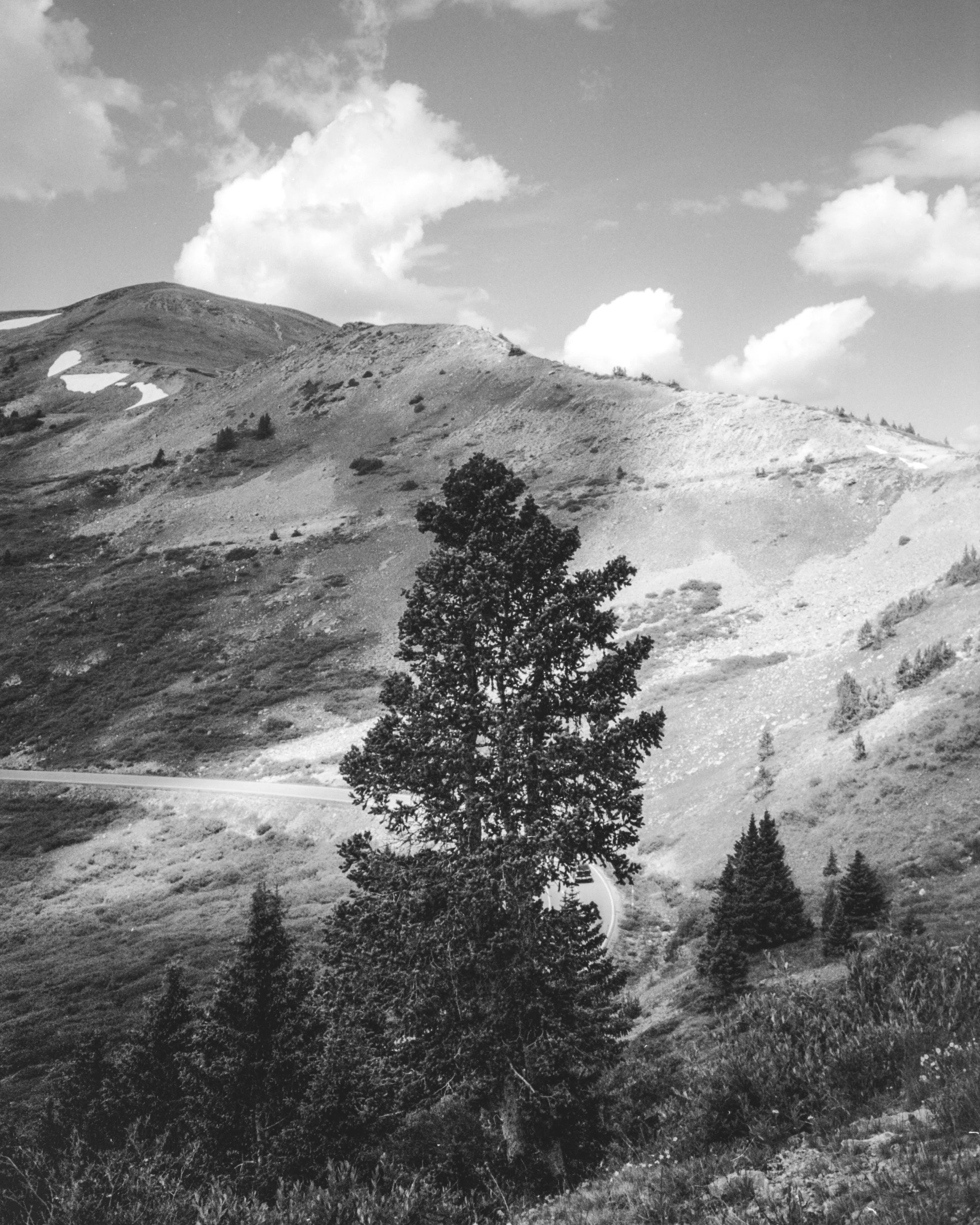 Crested Butte-44.jpg