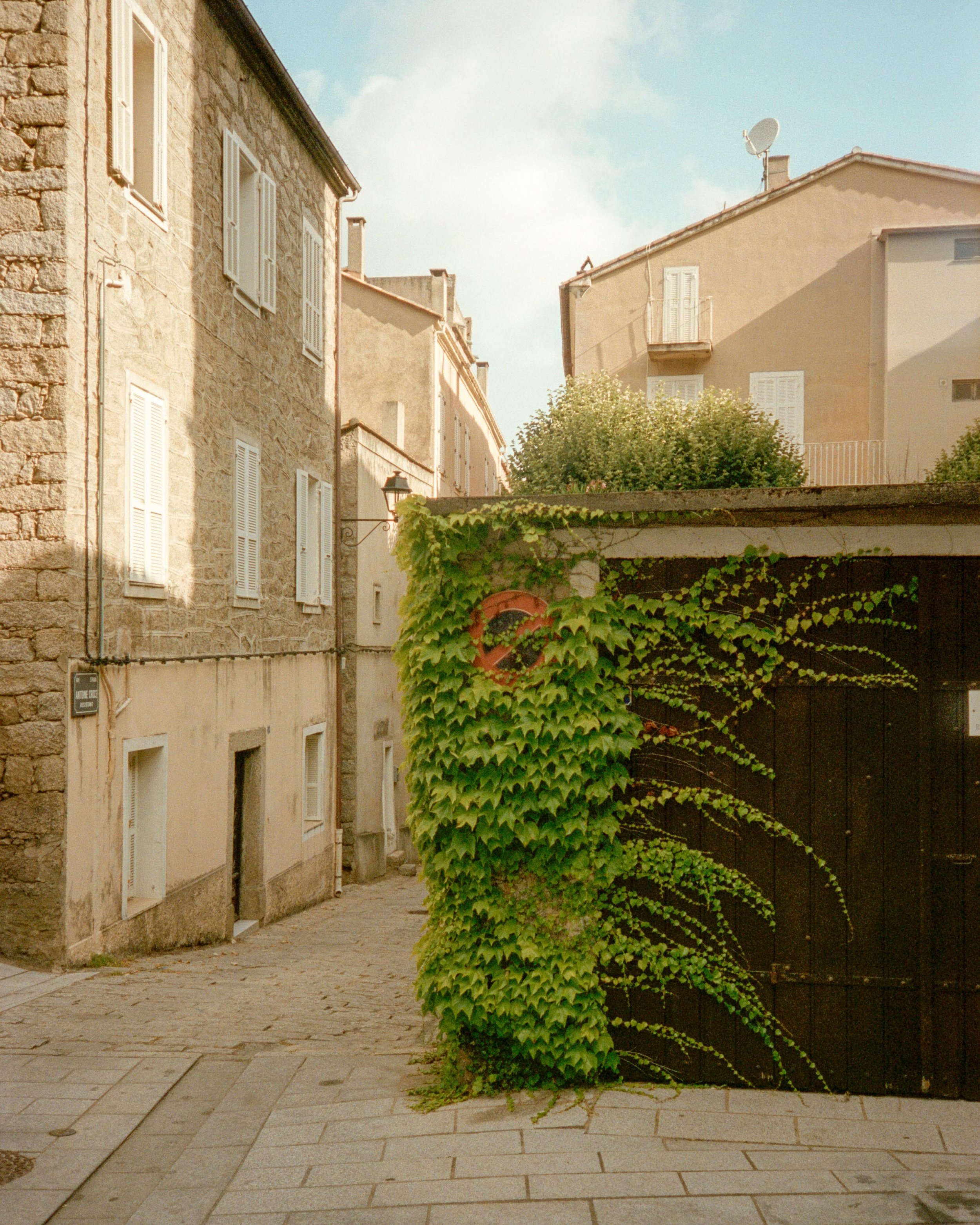 web-093.jpg