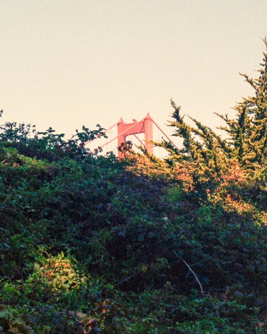 crop14.jpg