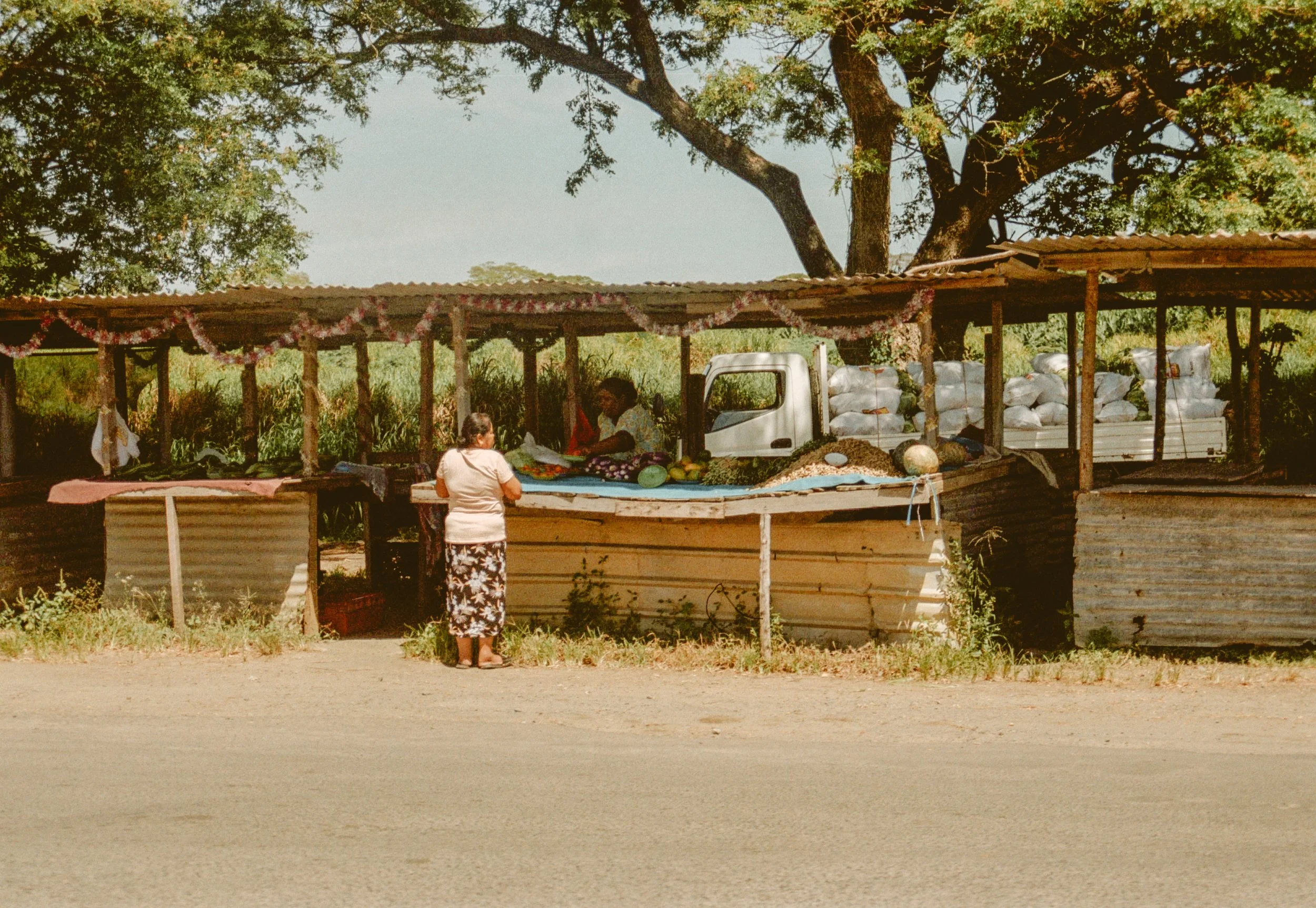 FIJI-11.jpg