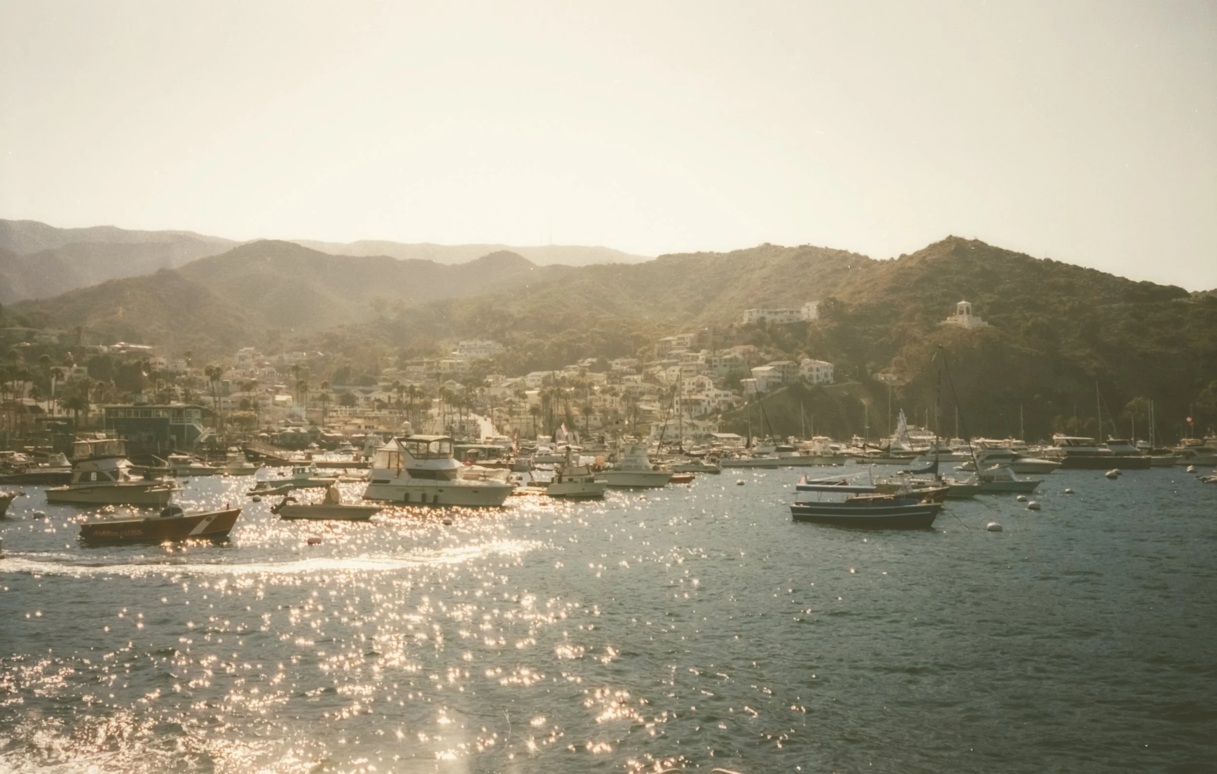 Catalina-33.jpg