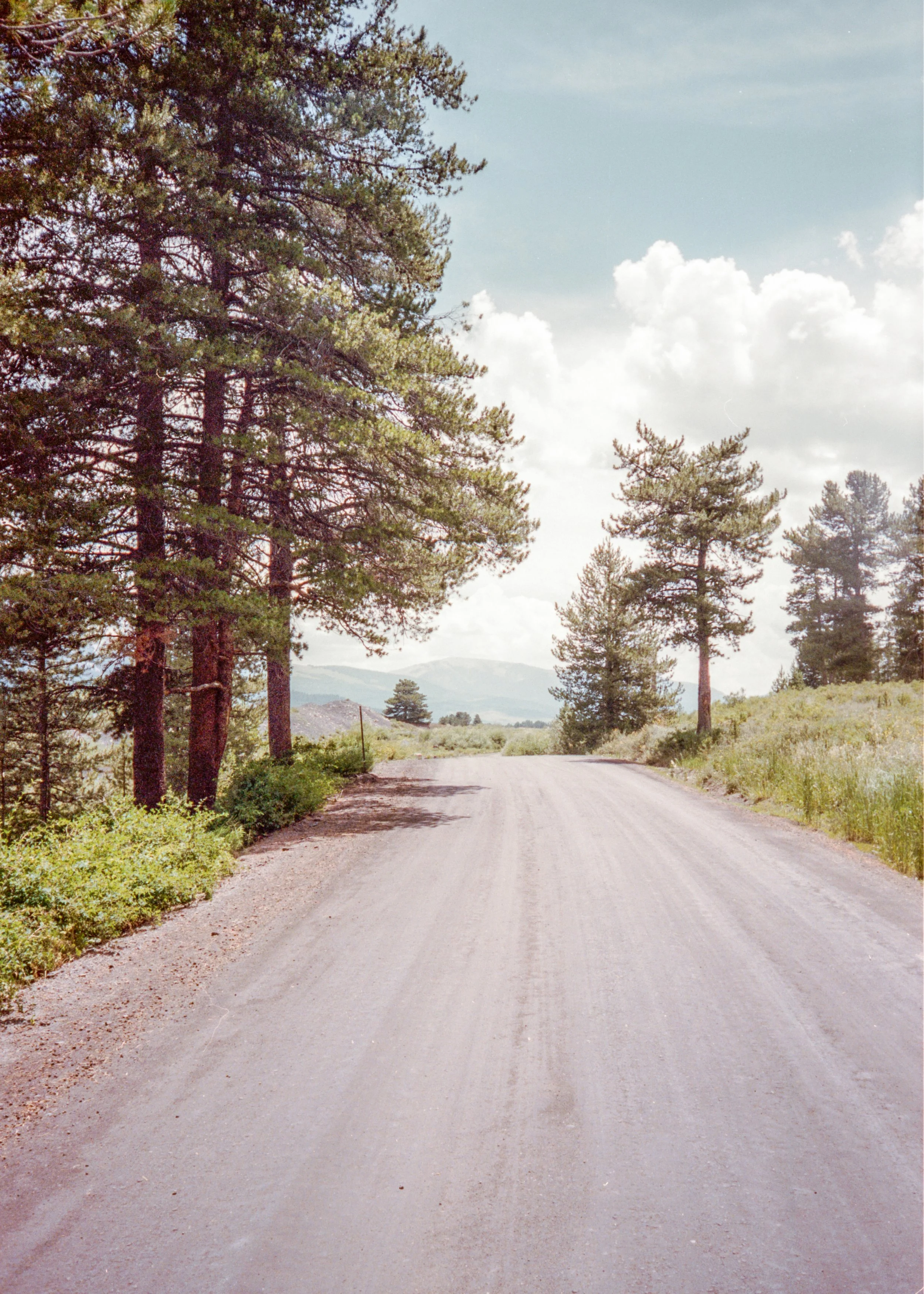 Crested Butte-65.jpg
