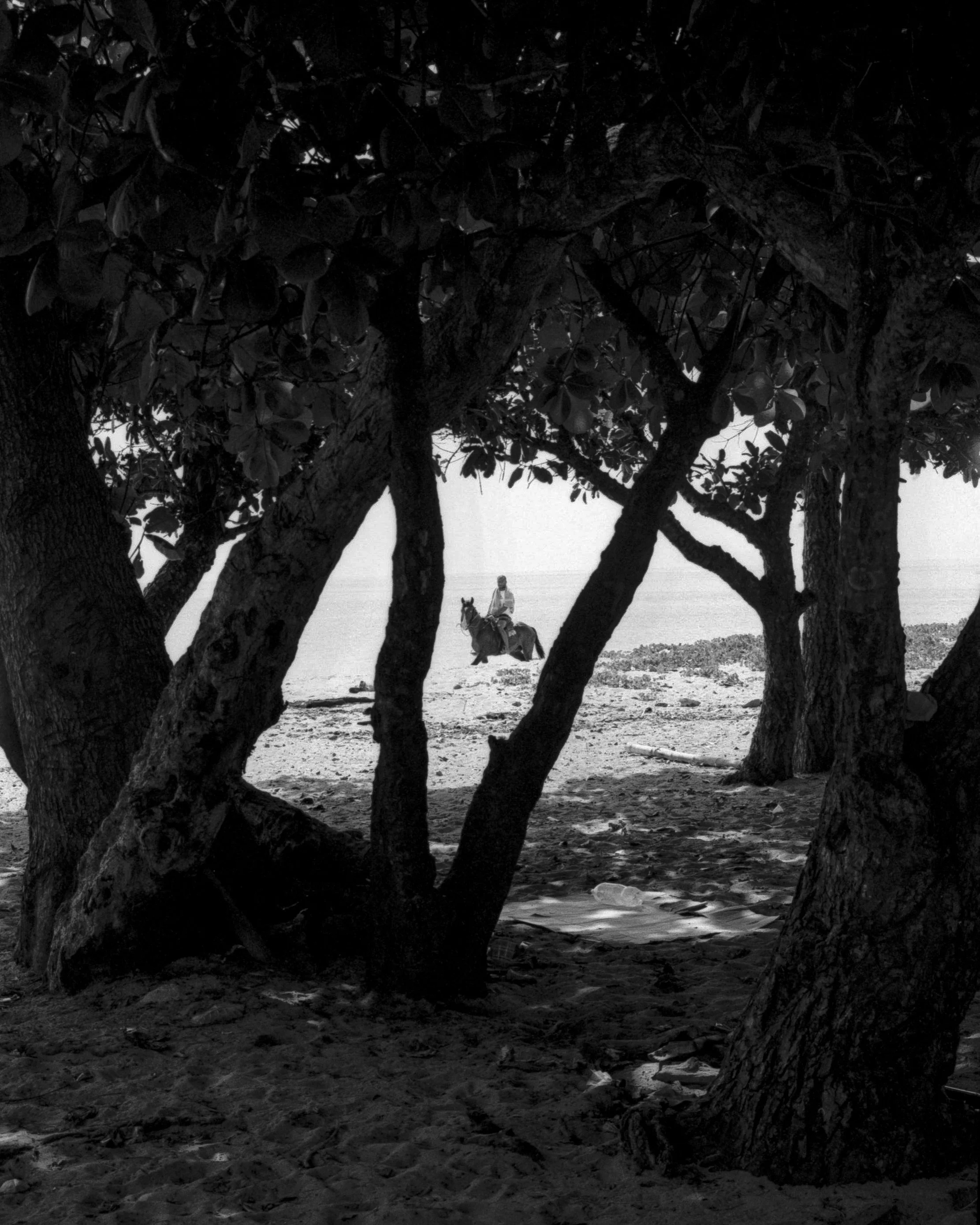 FIJI_B&W-29.jpg