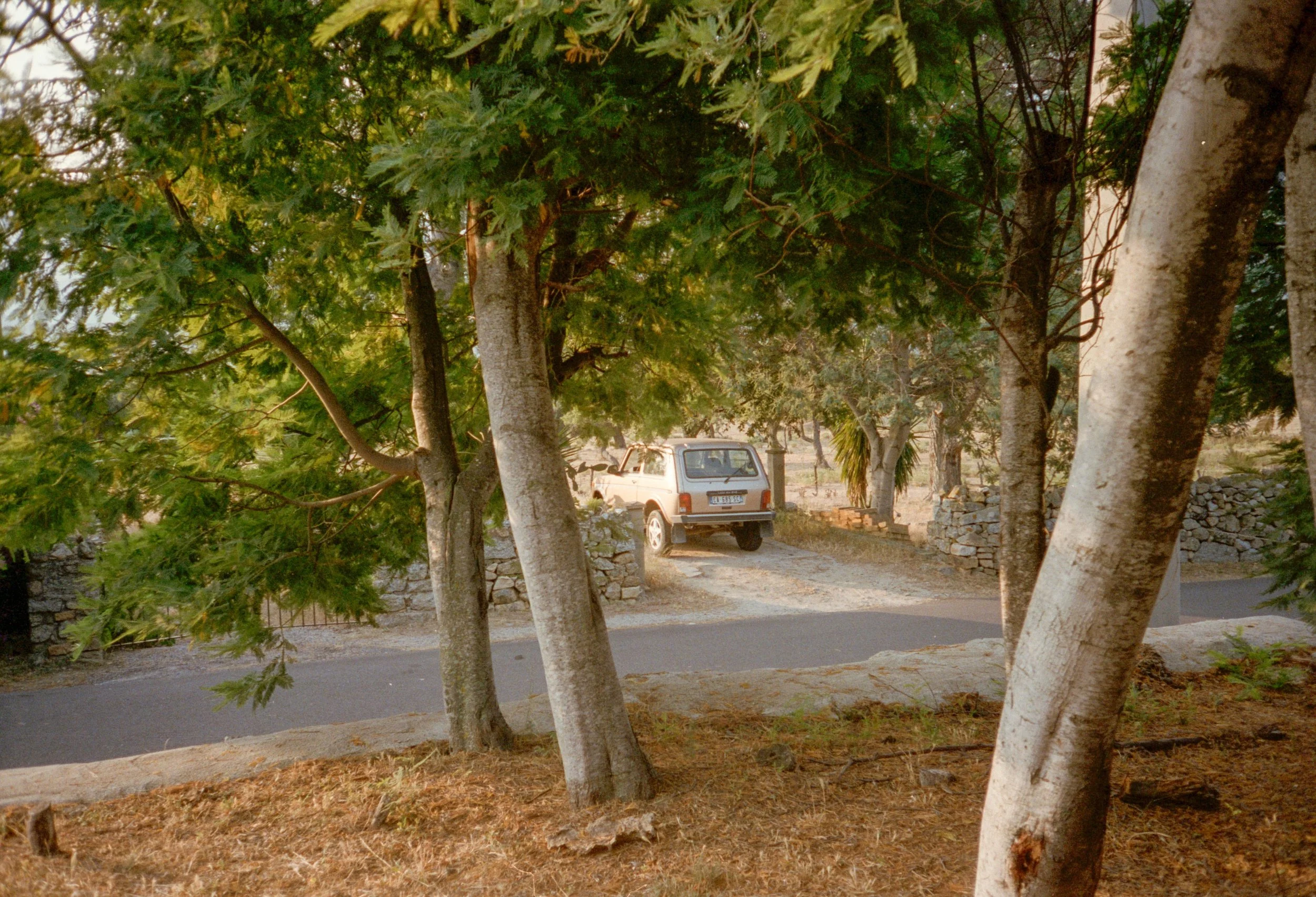 web-222.jpg