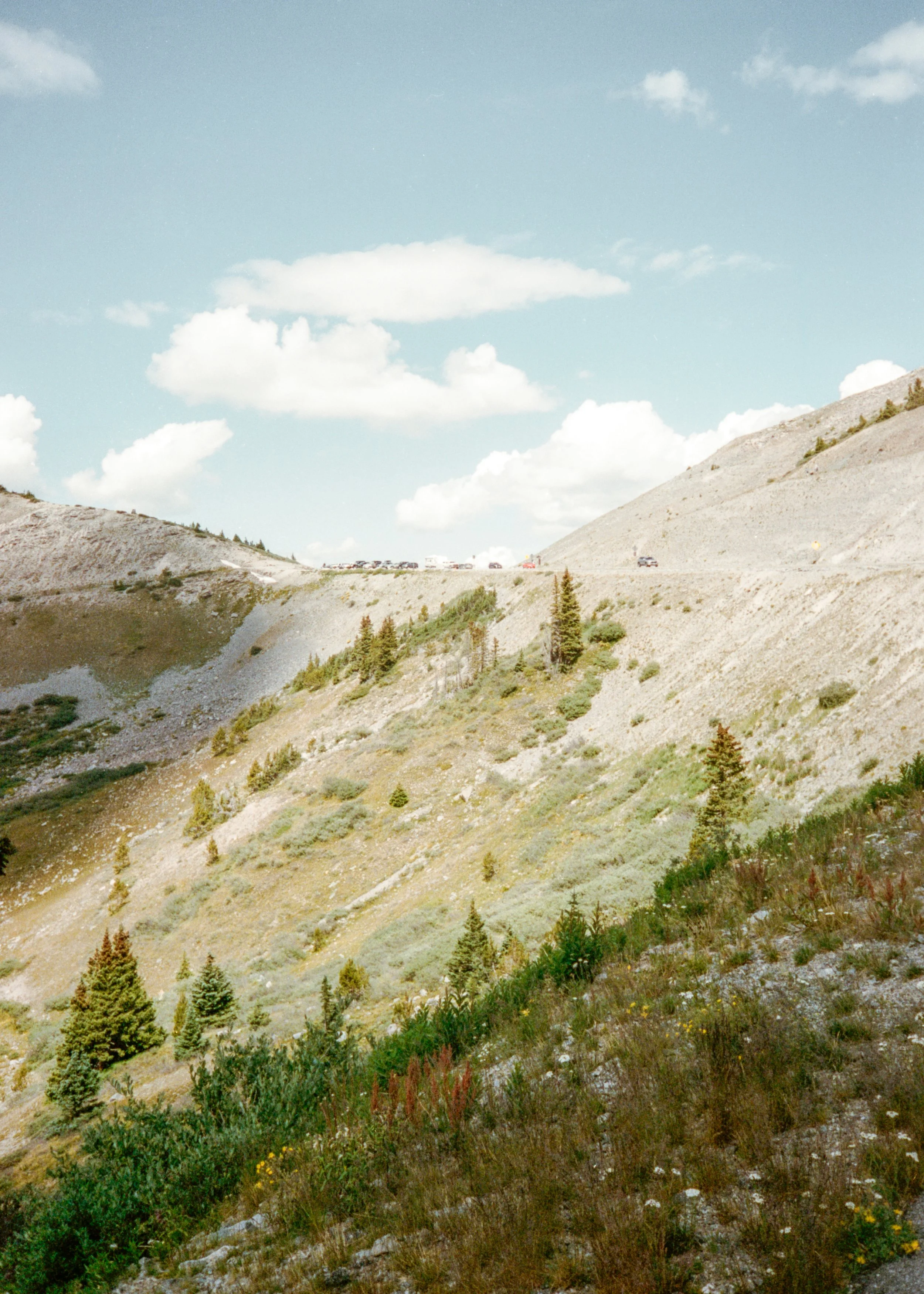 Crested Butte-64.jpg