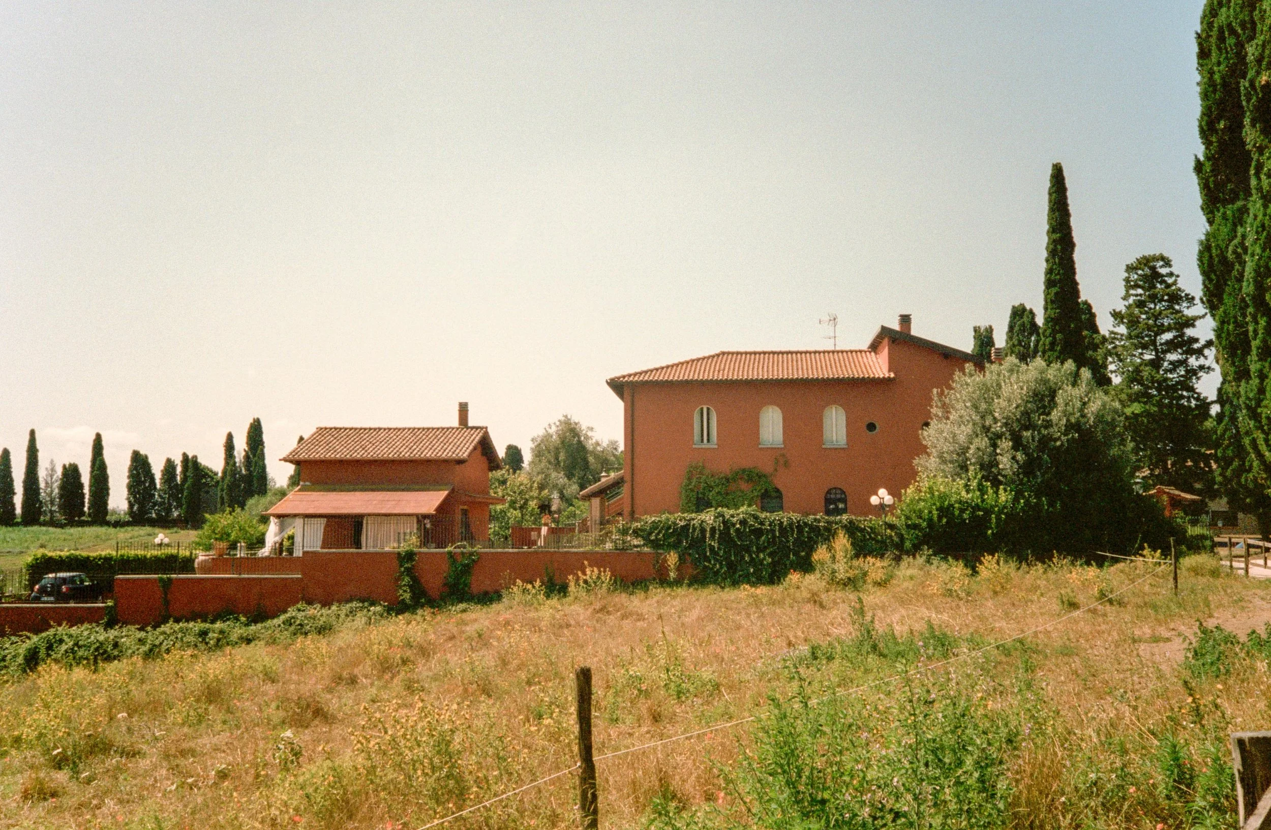 web-229.jpg