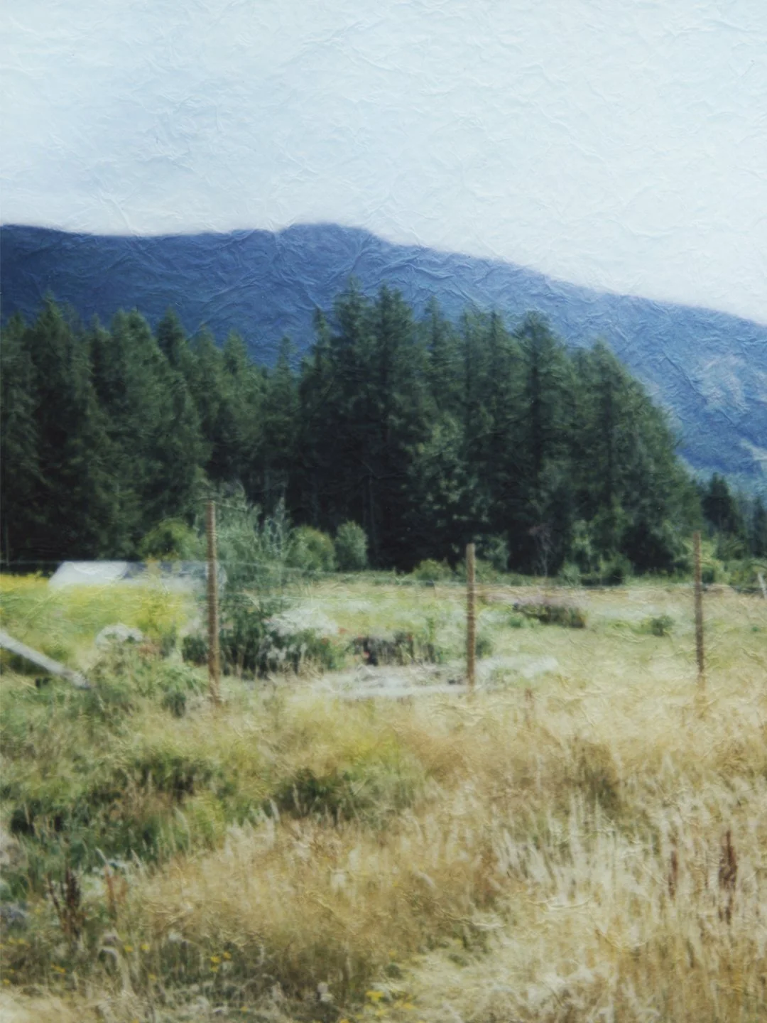 p15.jpg