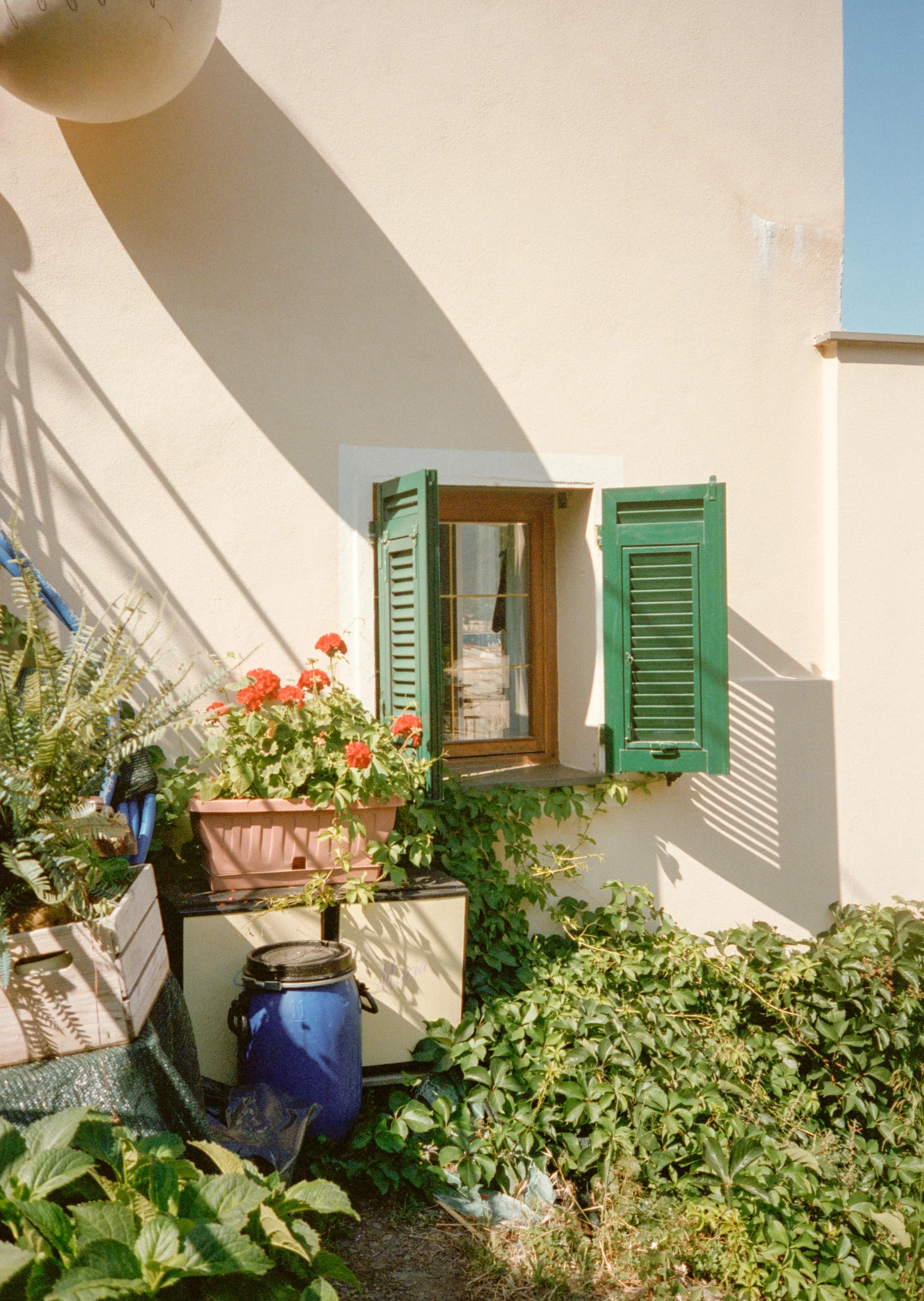 web-099.jpg