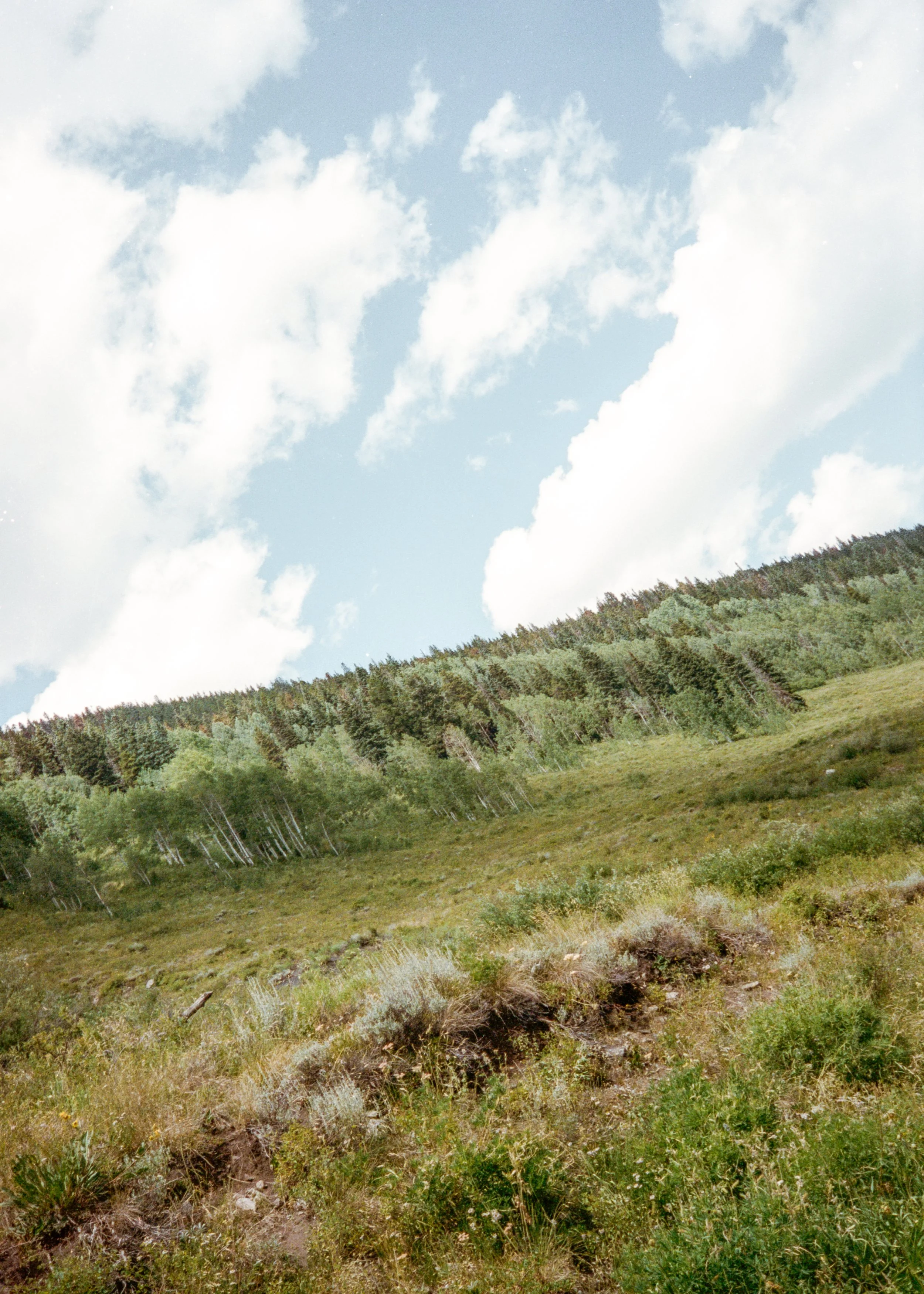 Crested Butte-51.jpg