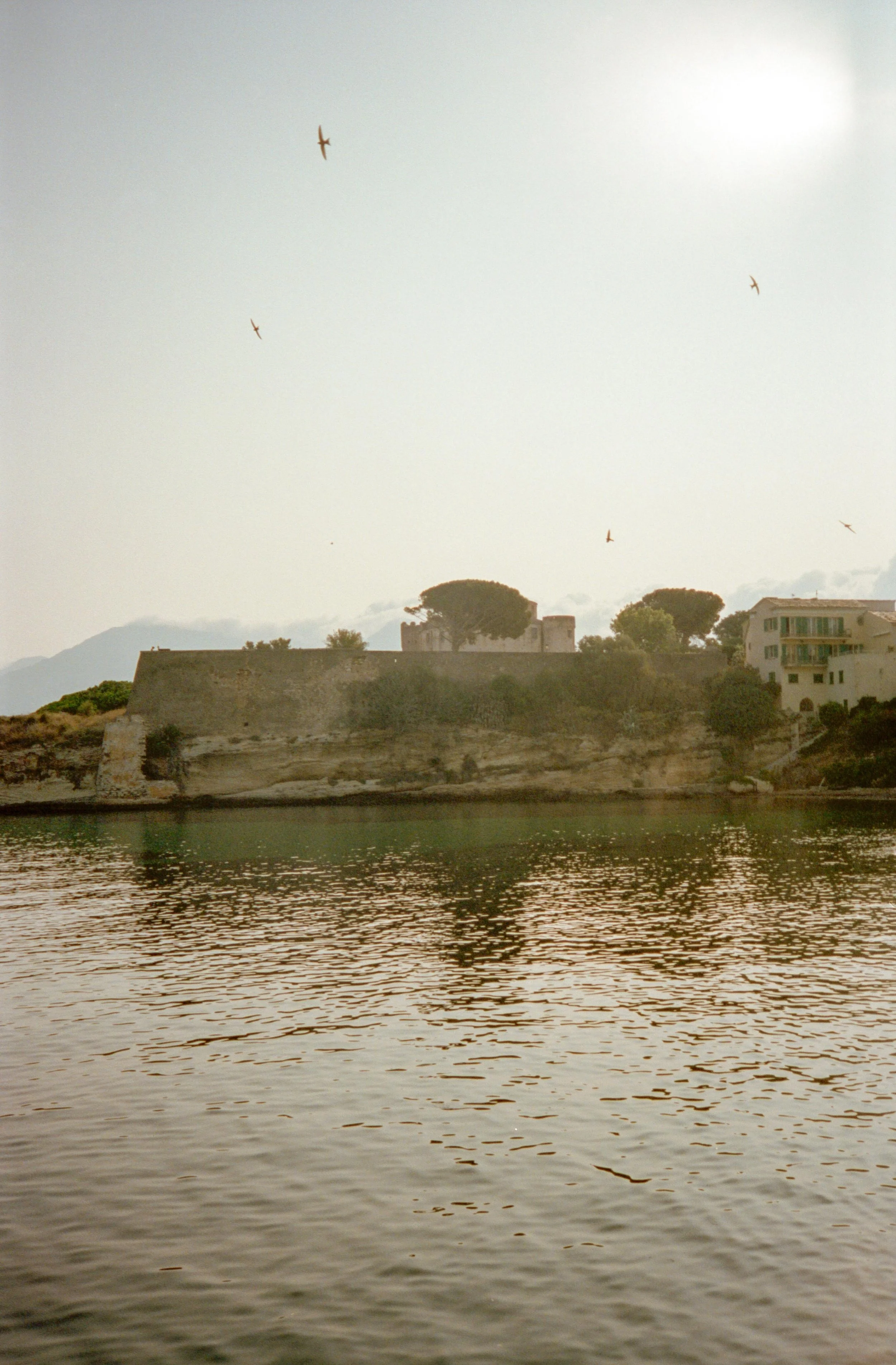 web-042.jpg
