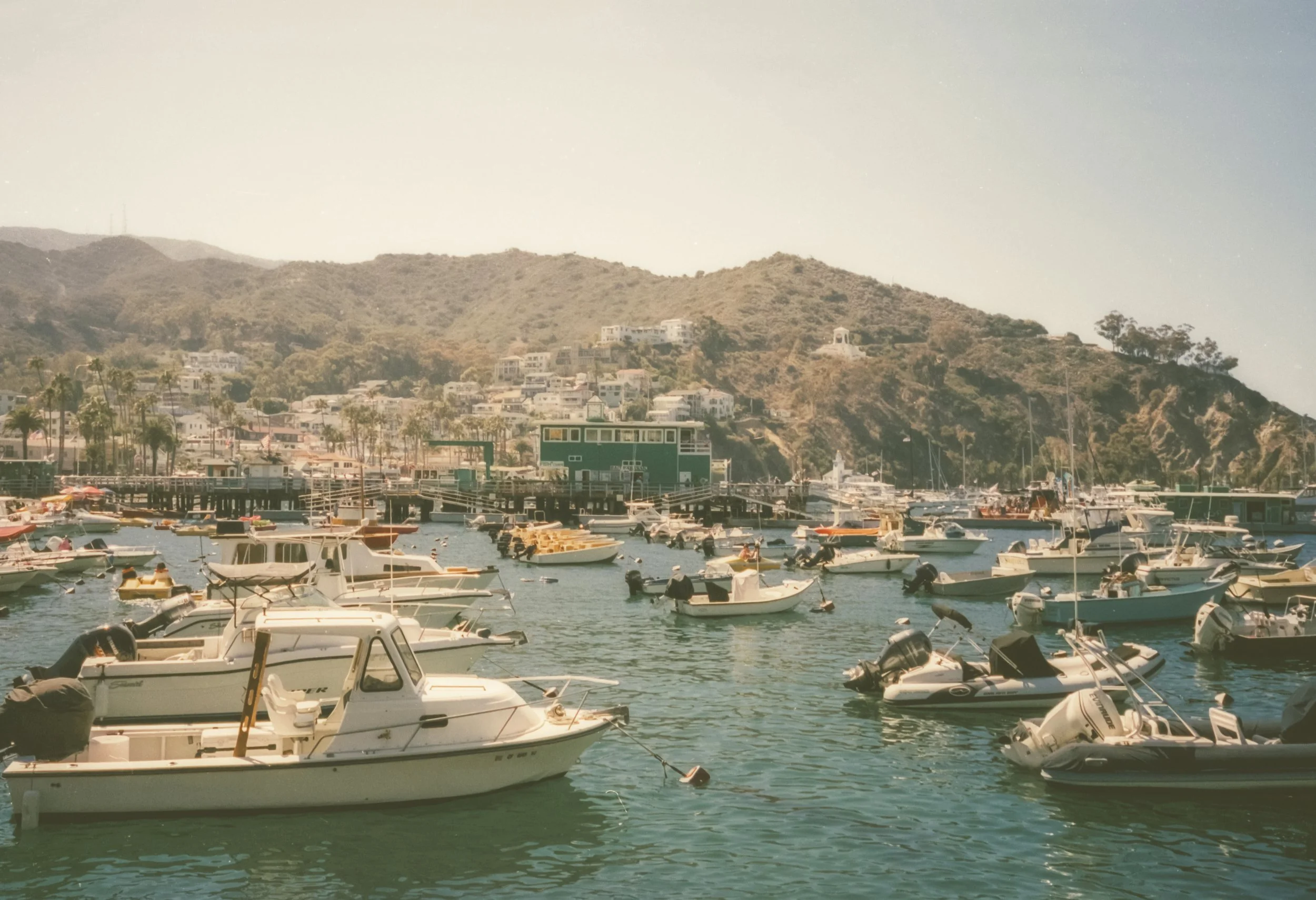 Catalina-29.jpg