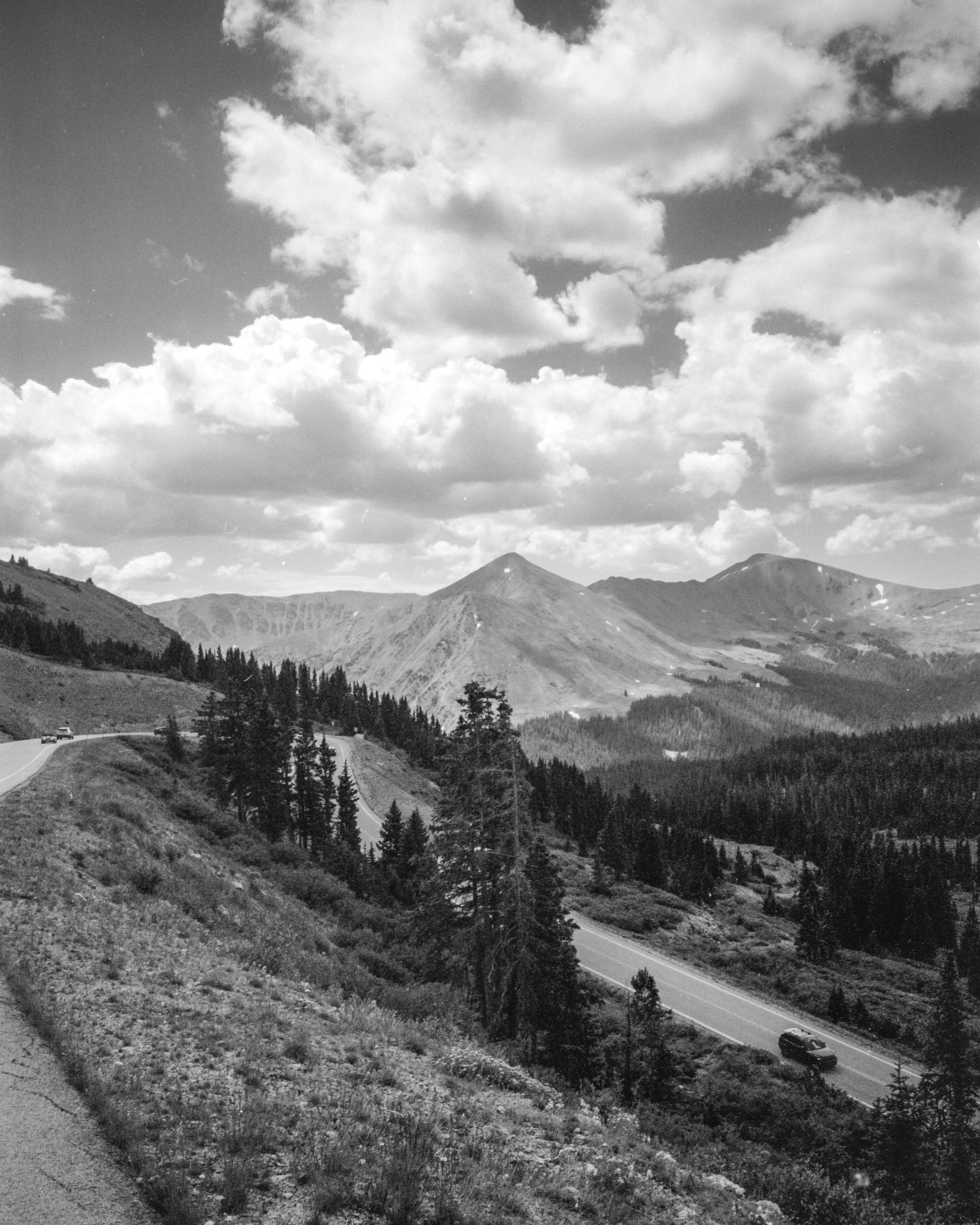 Crested Butte-46.jpg