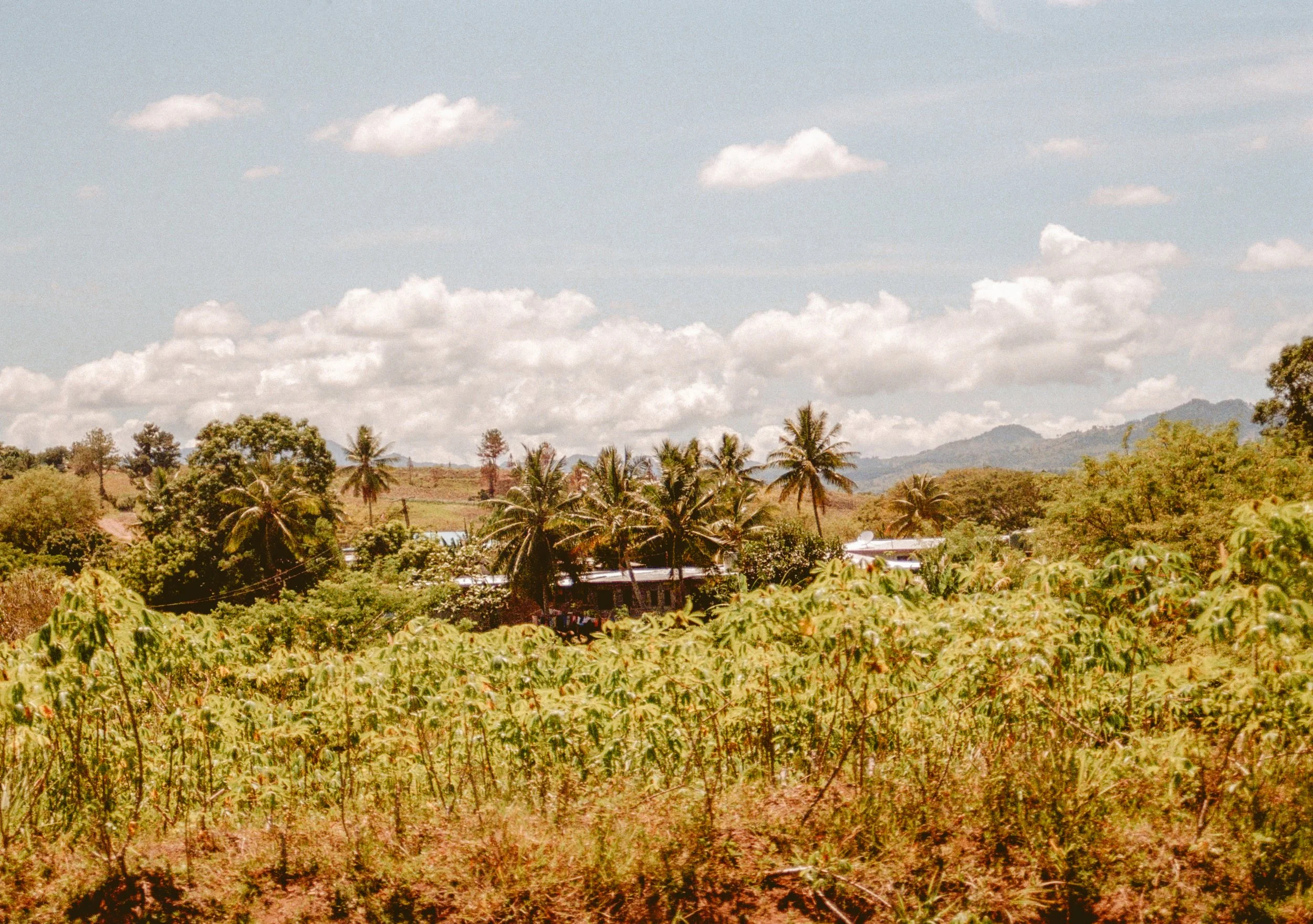 FIJI-6.jpg