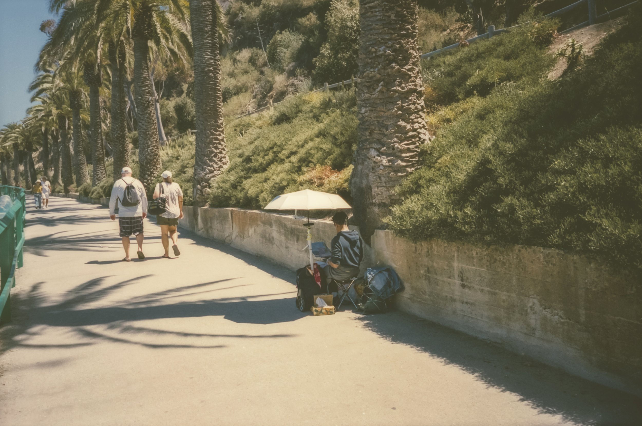 Catalina-7.jpg