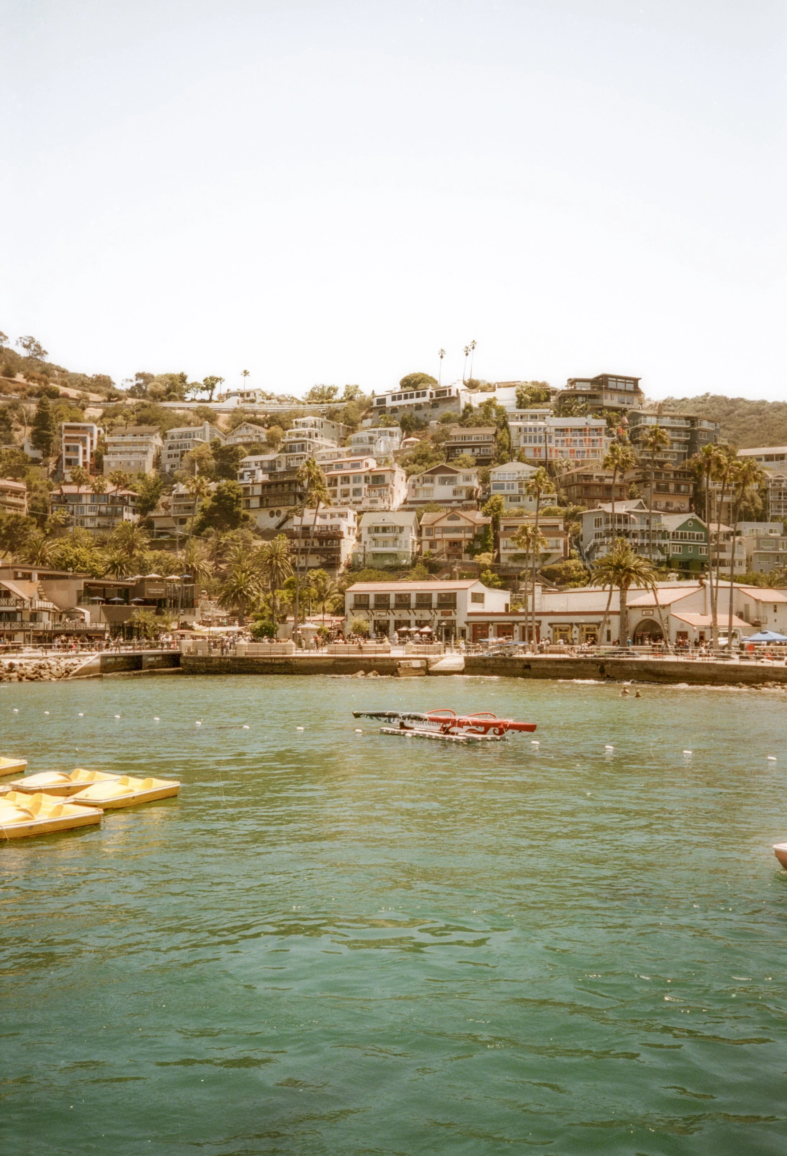 Catalina-57.jpg