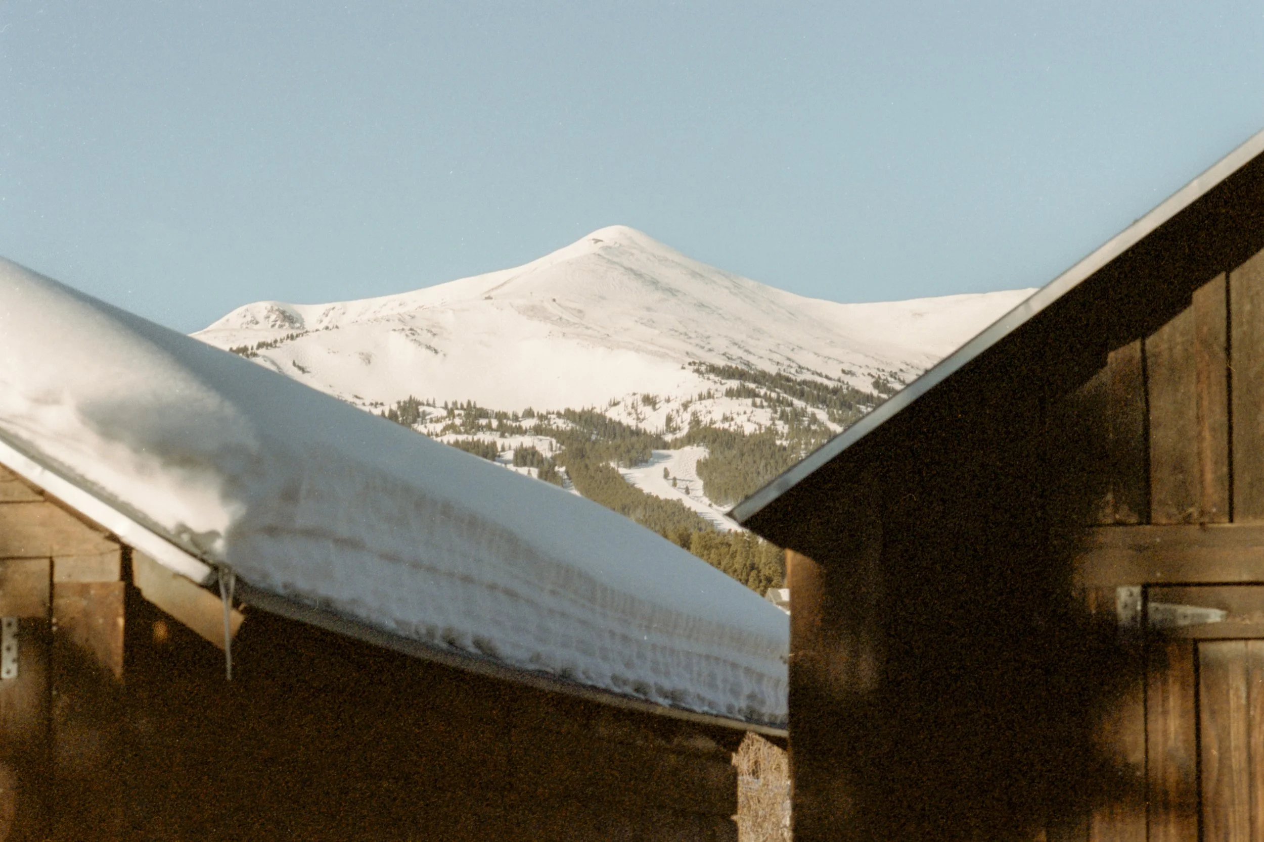 Breck_-4.jpg