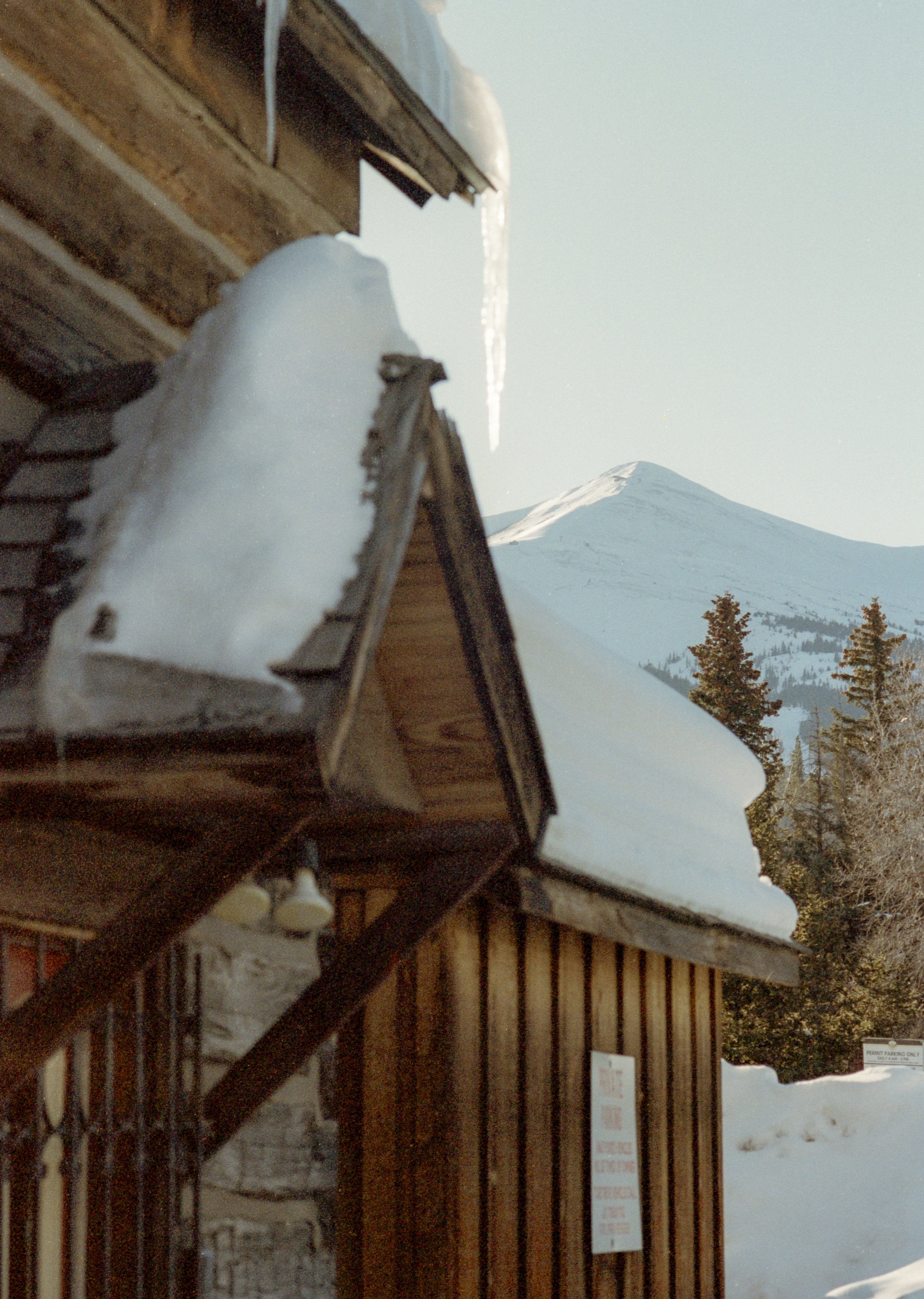 Breck_-18.jpg