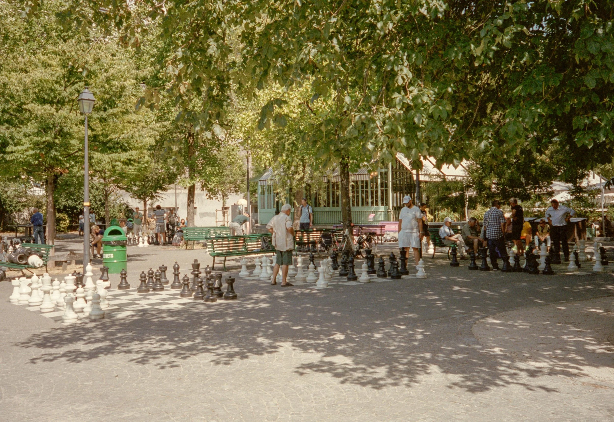 web-213.jpg