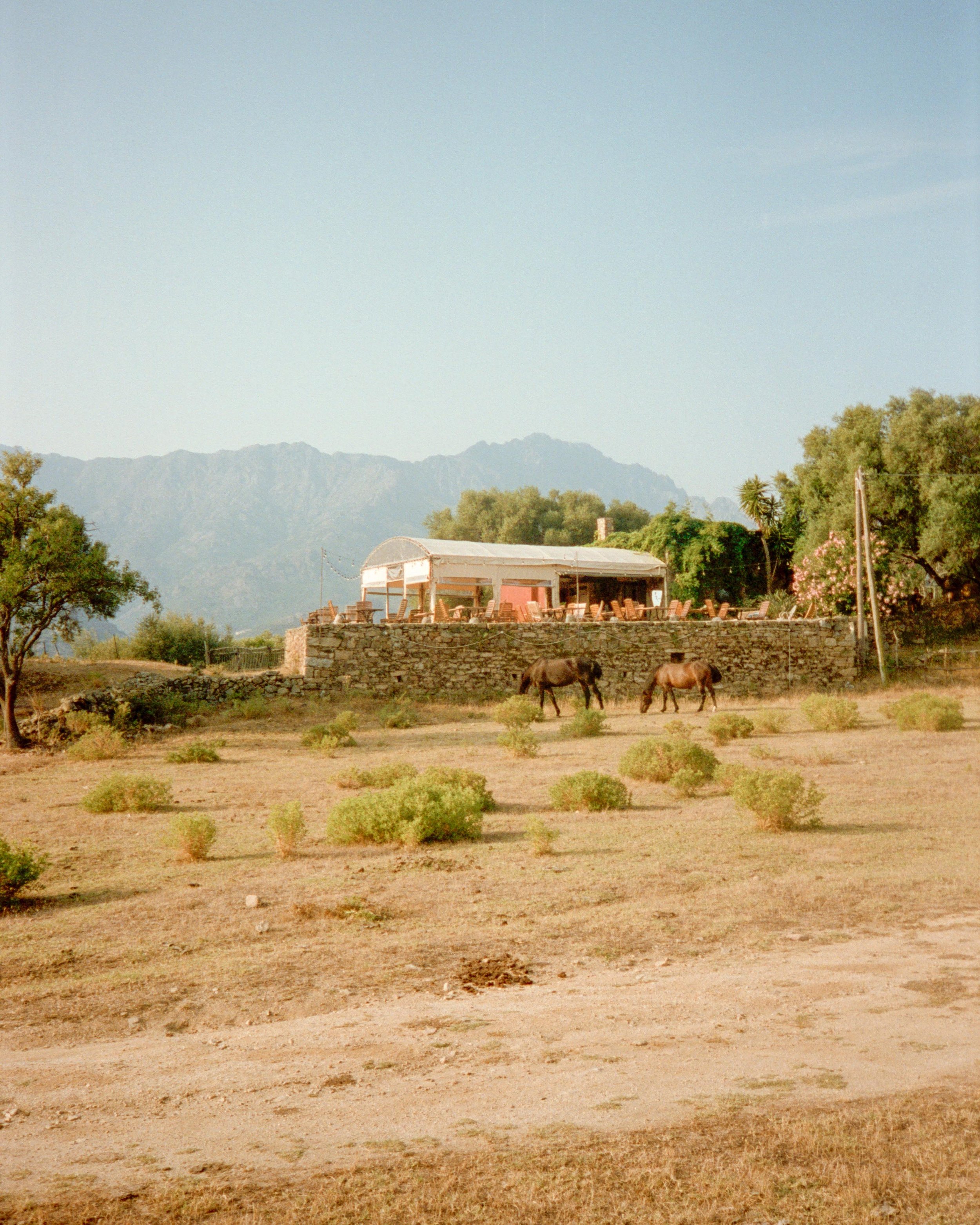 web-065.jpg